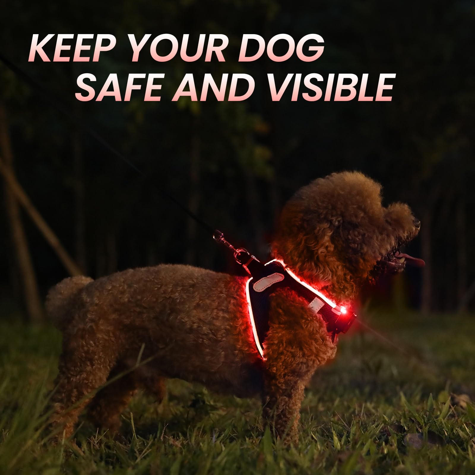 Pceotllar Light Up Dog Harness - Led, Rechargeable, No Pull, Reflective - Flashing Light For Night Walking (Red, Xs)