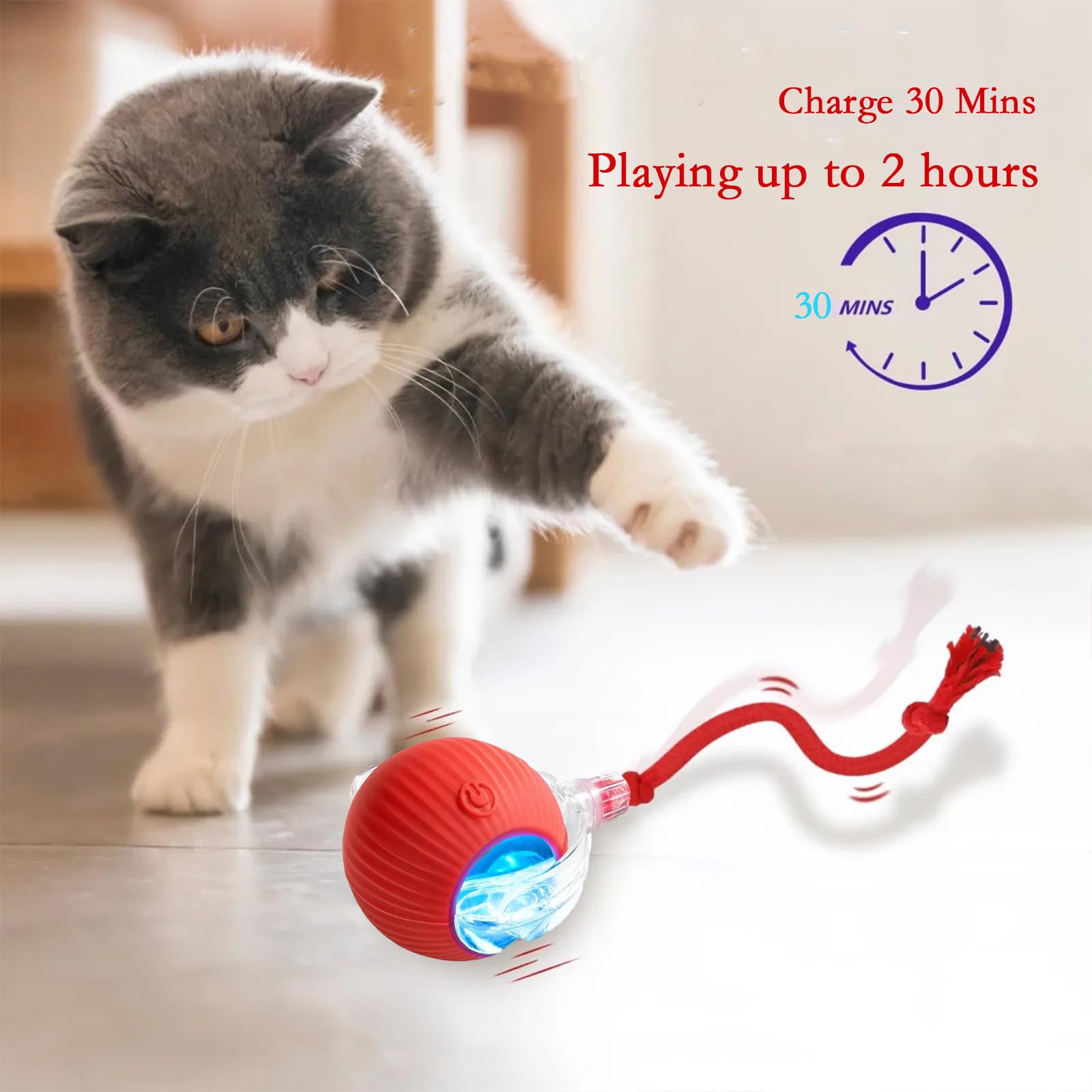 Blueypet Automatic Interactive Rolling Cat Toys Ball For Indoor- Rechargeable Activate Dog Pet Toy For Indoor, Self-Playing Auto