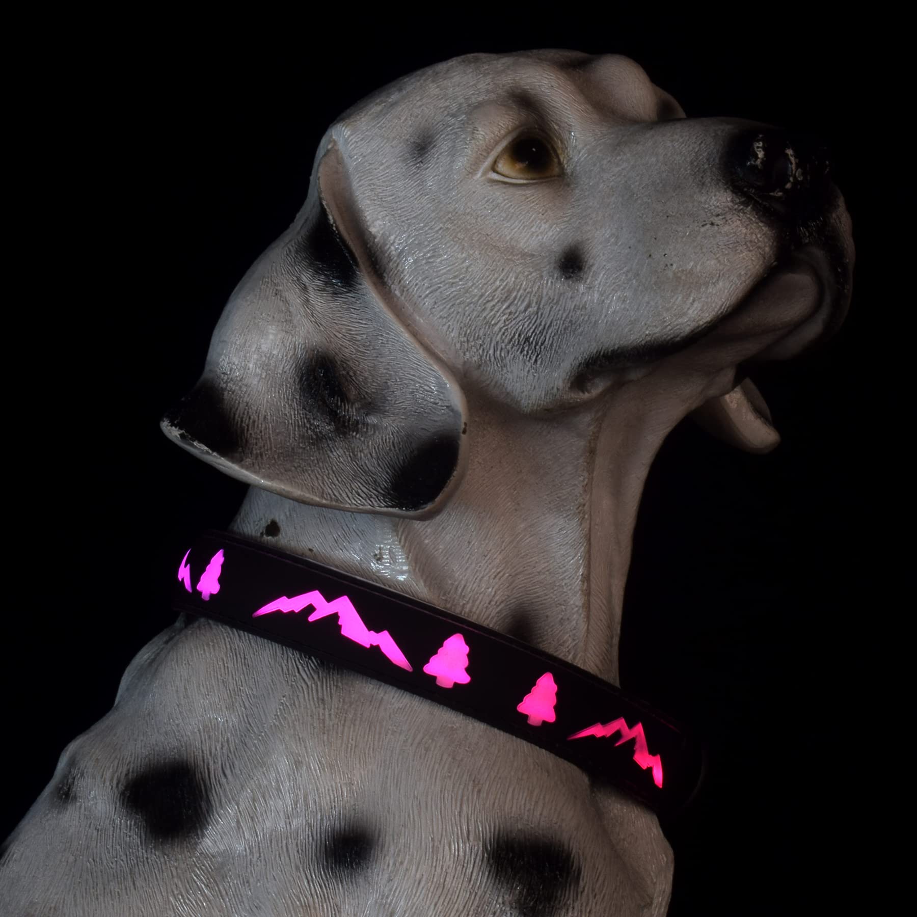 Dogled Led Dog Collar, 15 Light Modes, Usb-C Rechargeable, Silicone Material, Adjustable Size, (Black, Xl(19.7-23.6'))