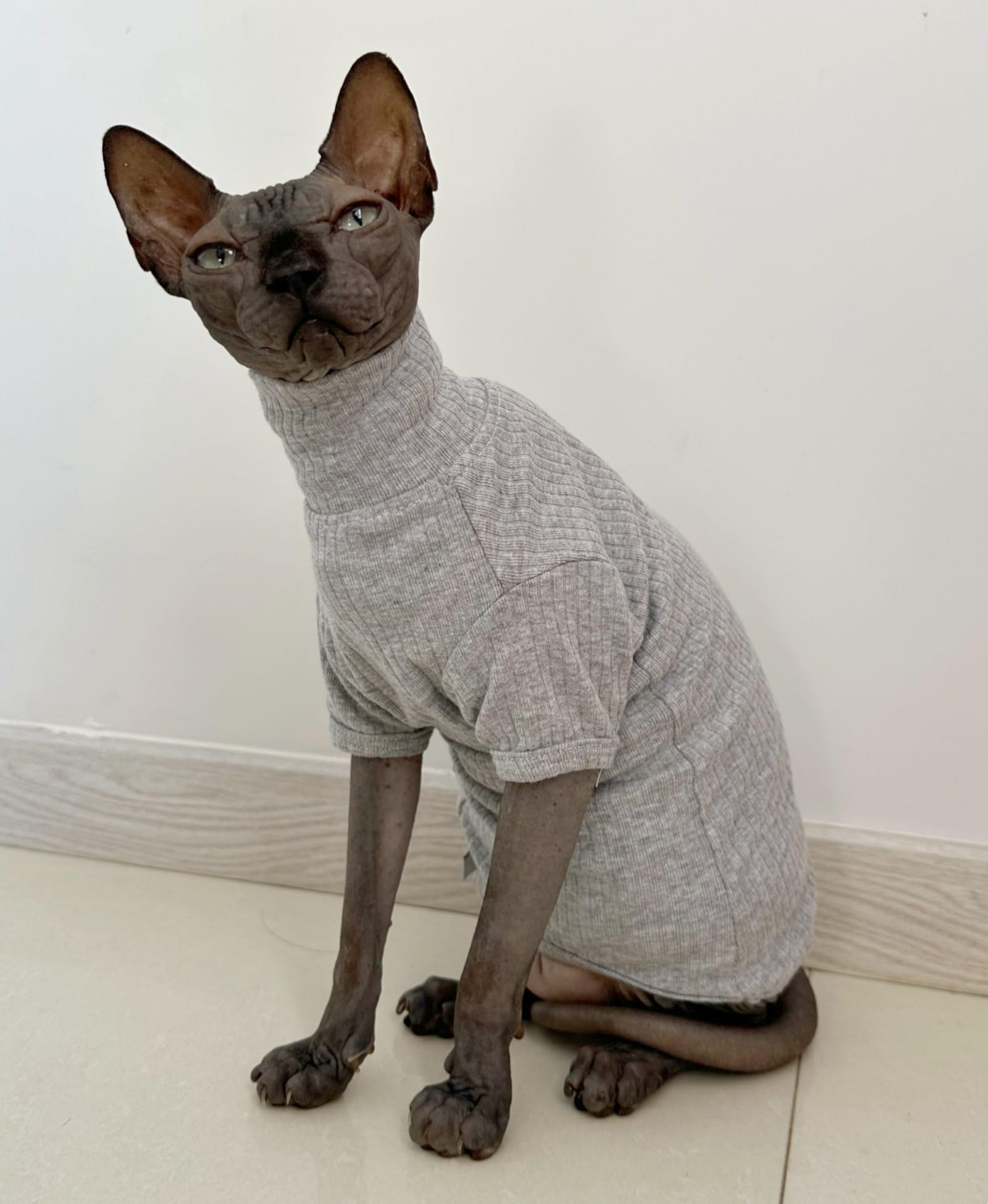 Sphynx Hairless Cats Shirt Cotton Cat Turtleneck Sweater Pullover Kitten T-Shirts With Sleeves Cat Pajamas Jumpsuit For Sphynx C