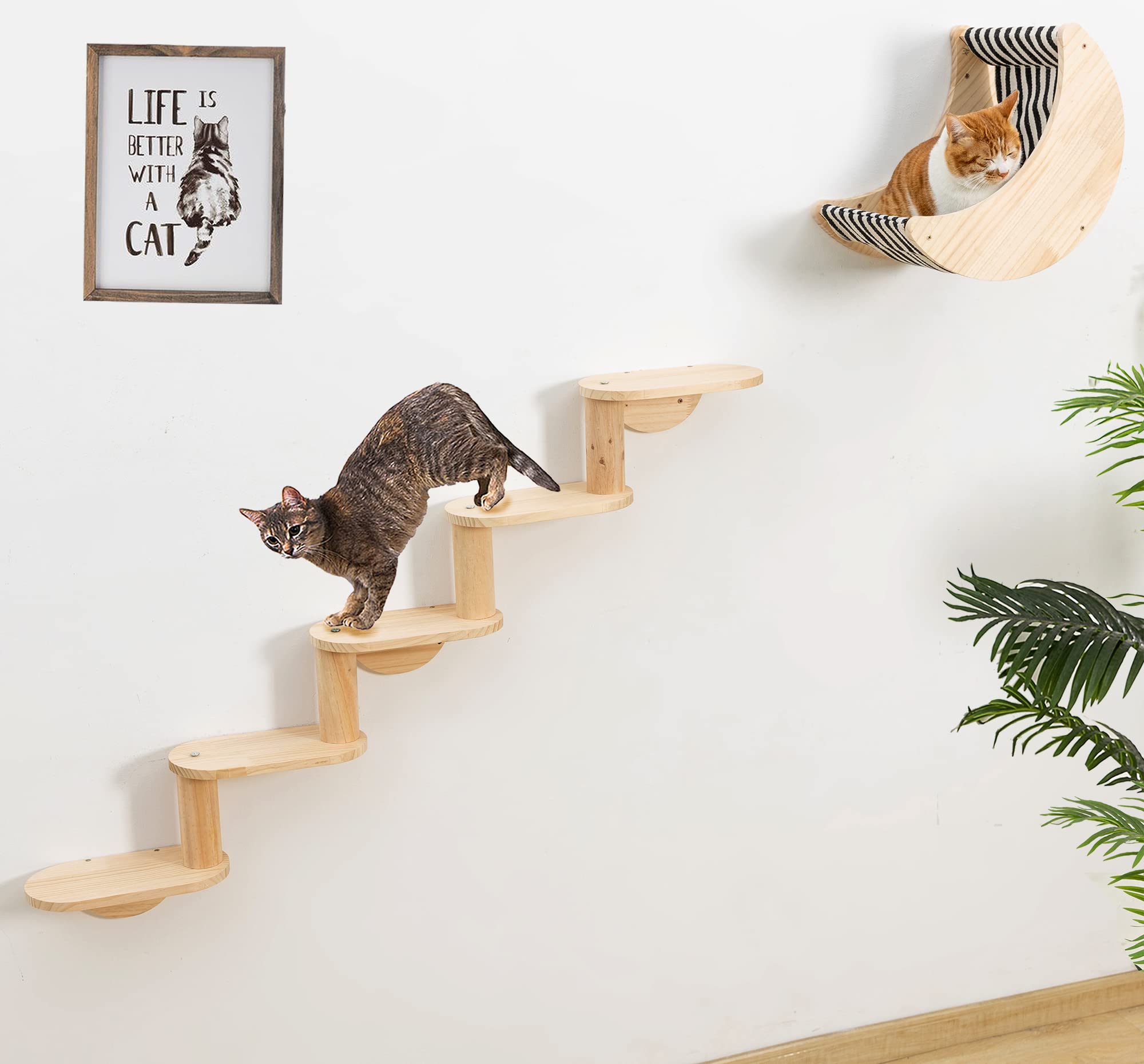 Cat Shelf for Wall Mount Hammock with 5-Levels Climbing Ladder Moon Cat Shelves and Perches for Activity Indoor Cats Wall Furnit