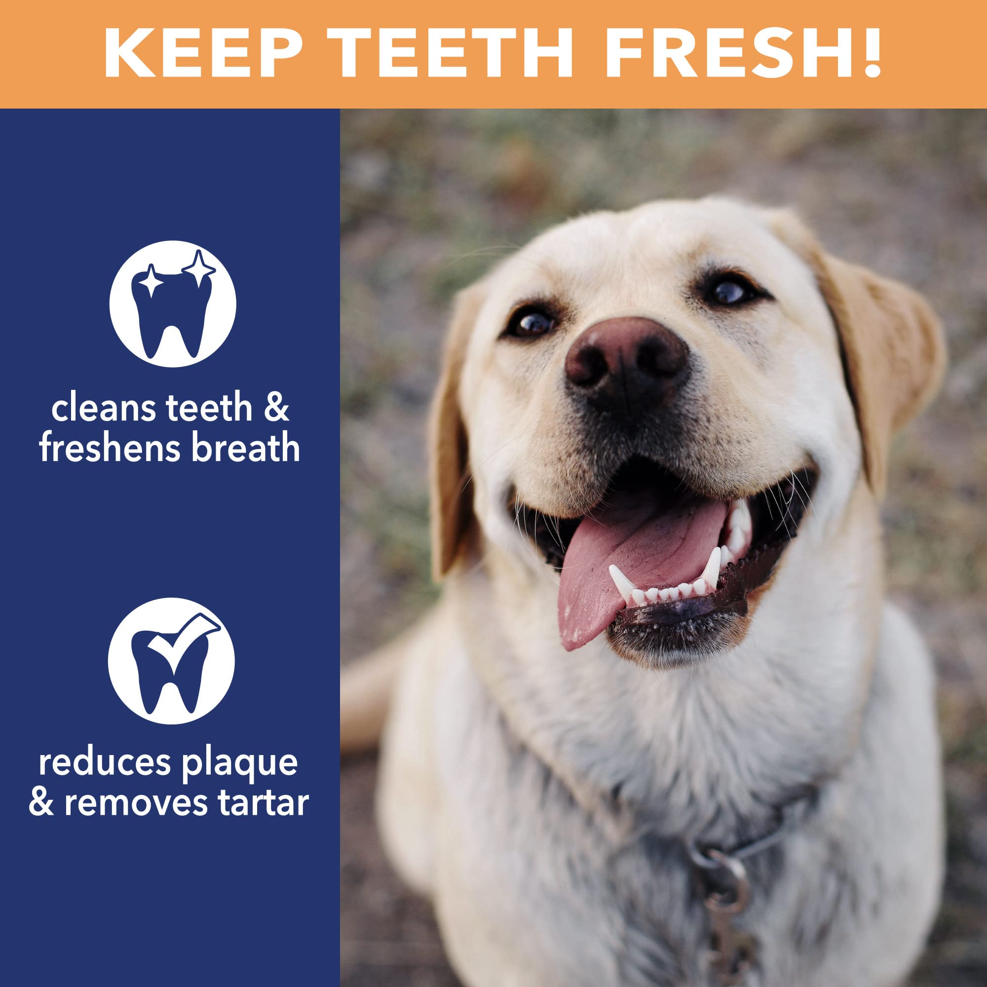 Pet Factory CareChewz Collagen 6-7 Twist Keys Dog Chew Treats - Chicken Flavor, 6 Count/1 Pack