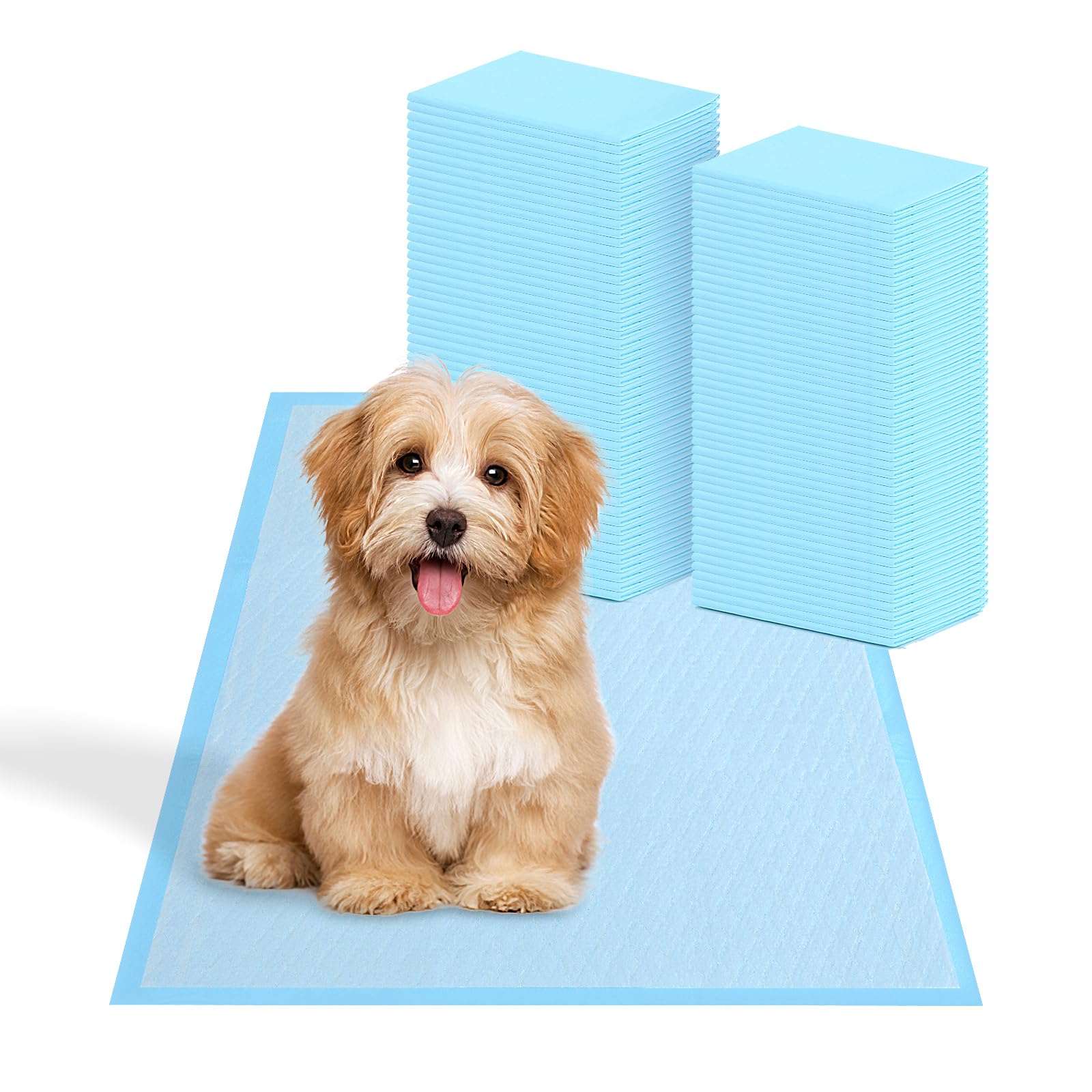 Super Absorbent Waterproof Dog and Puppy Pet Training Pad, Housebreaking Pet Pad, 200-Count Small-Size, 17.1X23.6, Blue
