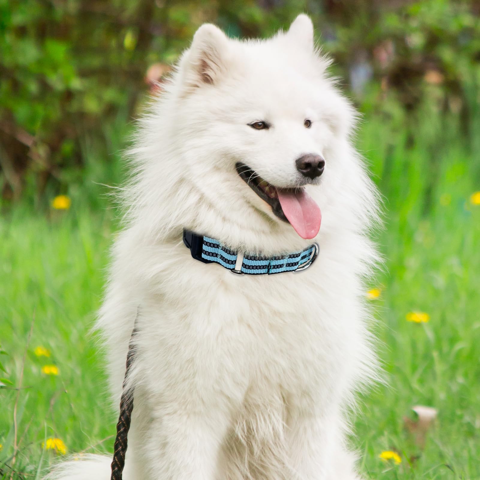 Martingale Dog Collars - Reflective Dog Collar With Quick Release Buckle Adjustable Nylon Training Dog Collar Suitable For Puppi