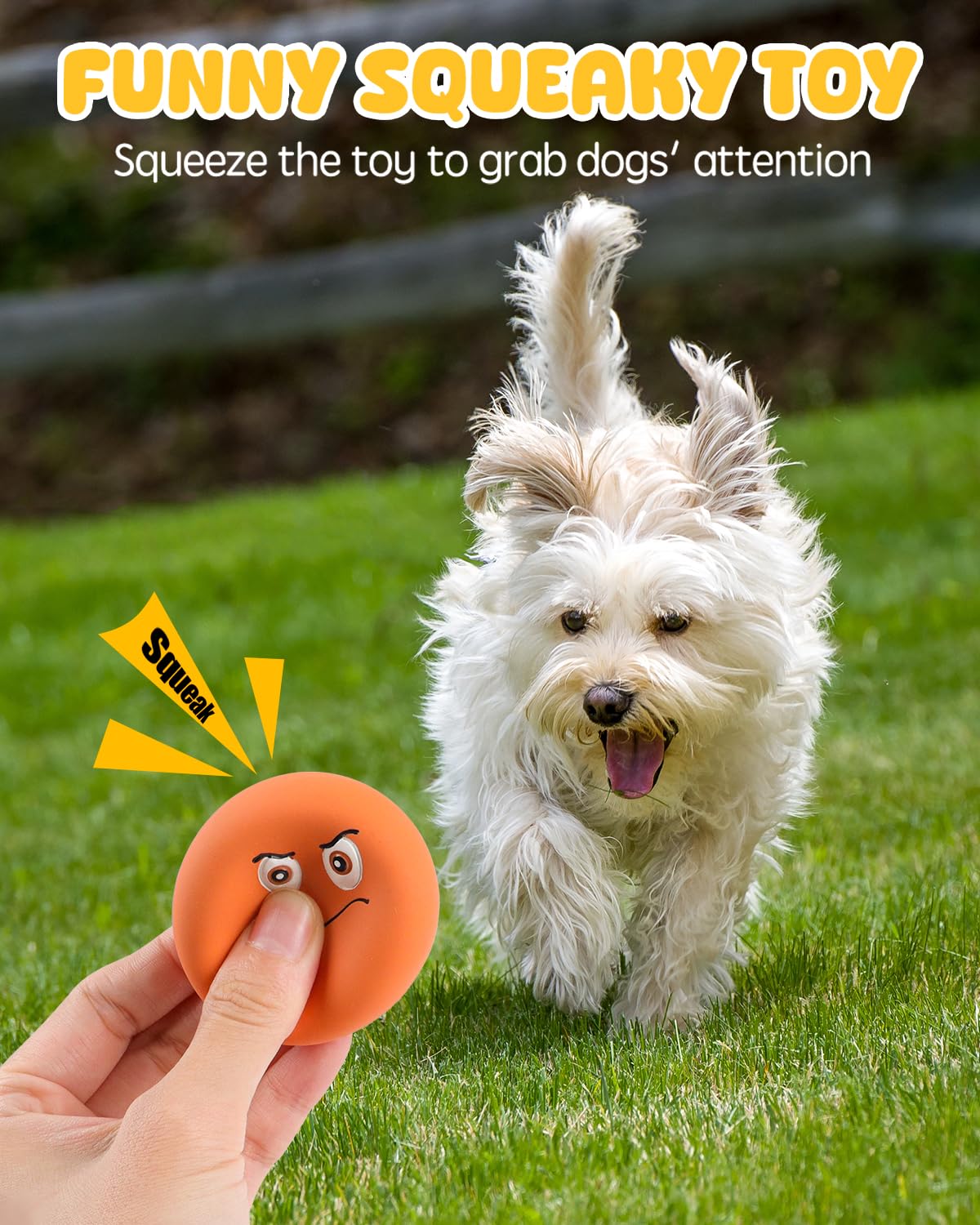 SCHITEC Squeaky Dog Toys - 6 Pack Interactive Puppy Balls, Natural Rubber, Multicolor, Model CW-0254 for Small Breed Dogs