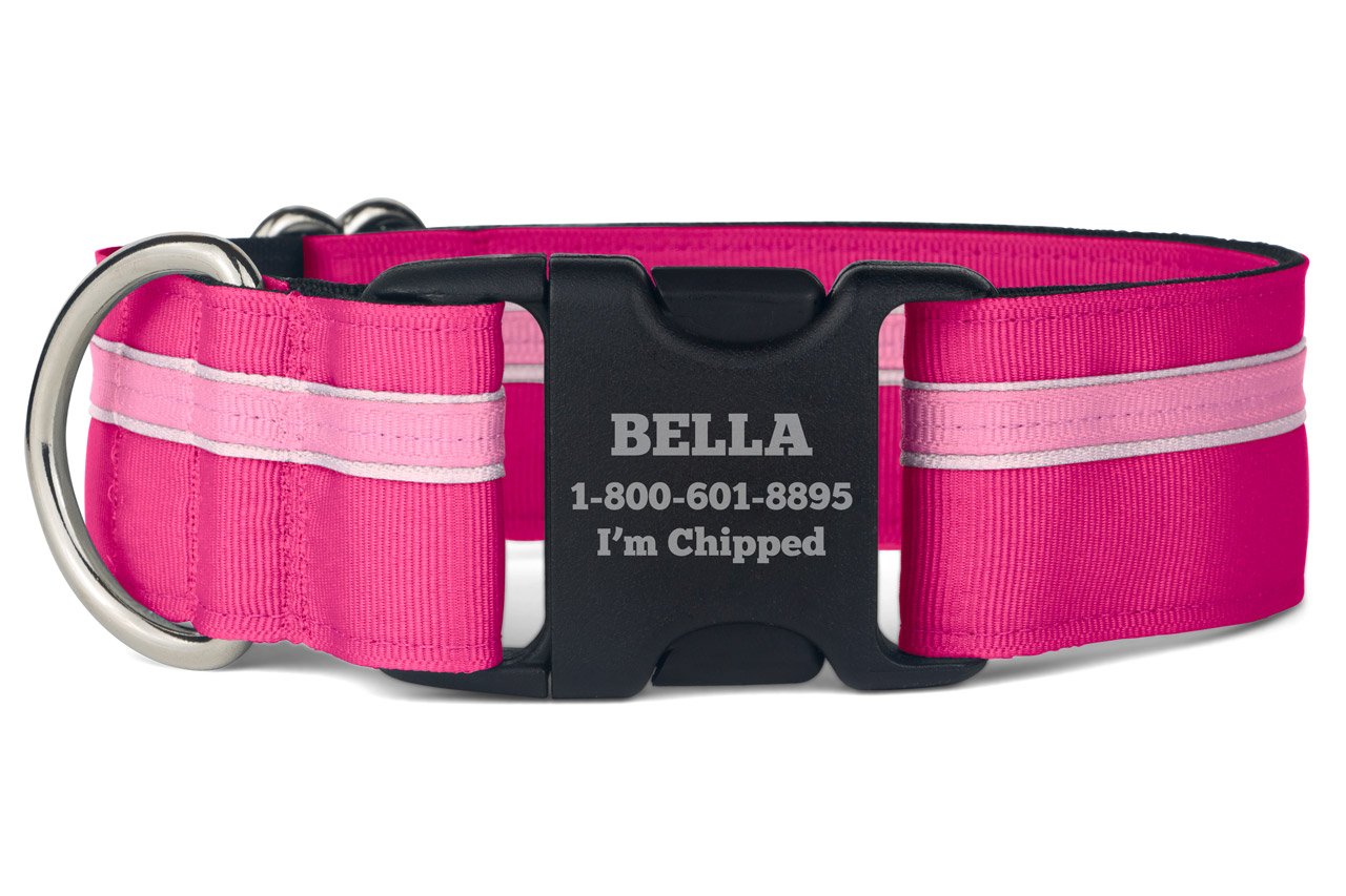 If It Barks Personalized 1.5 Striped Dog Collar - Engraved Name - Custom Size, Bubble Gum