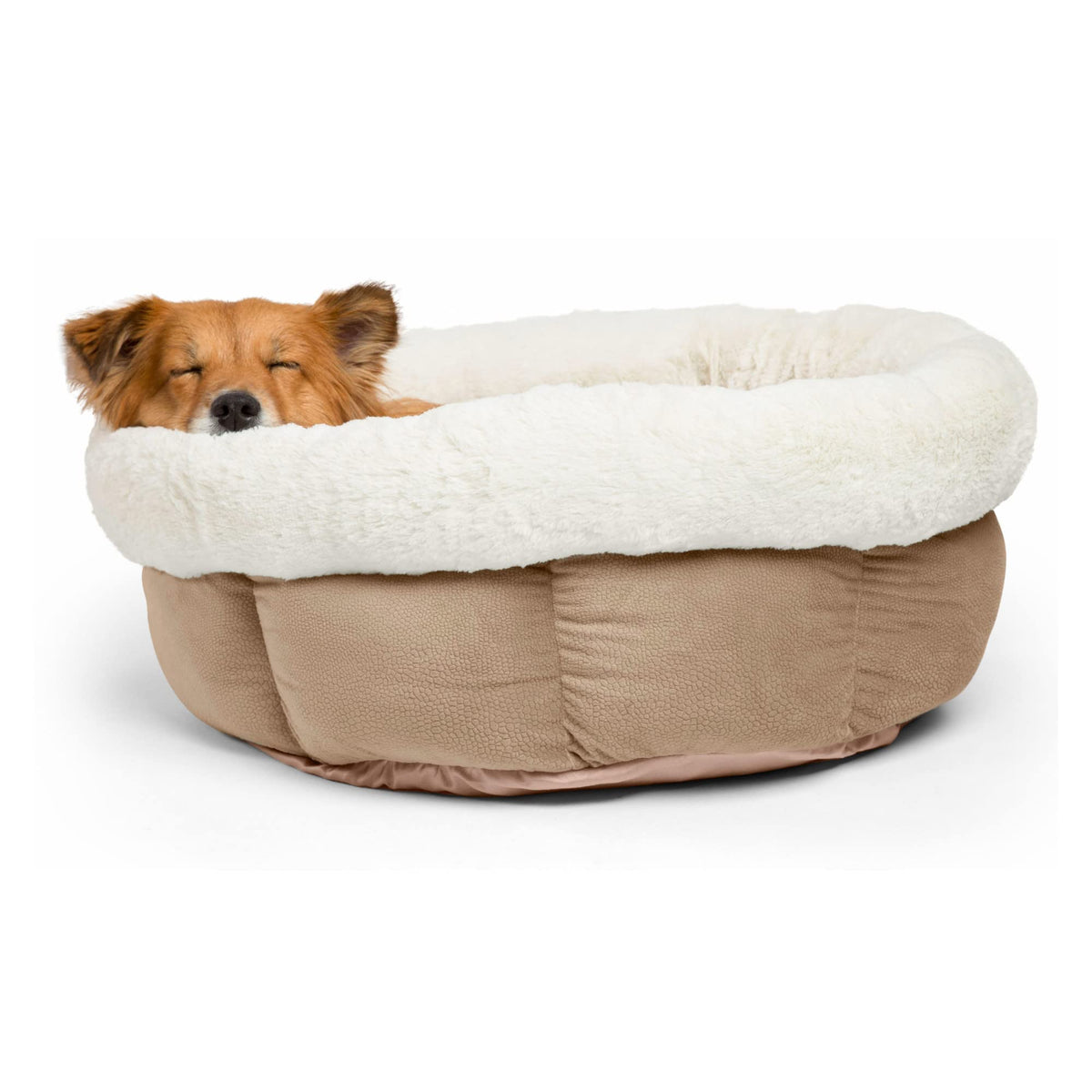 Best Friends By Sheri Cuddle Cup Ilan Cozy Microfiber Cat And Dog Bed In Jumbo Wheat