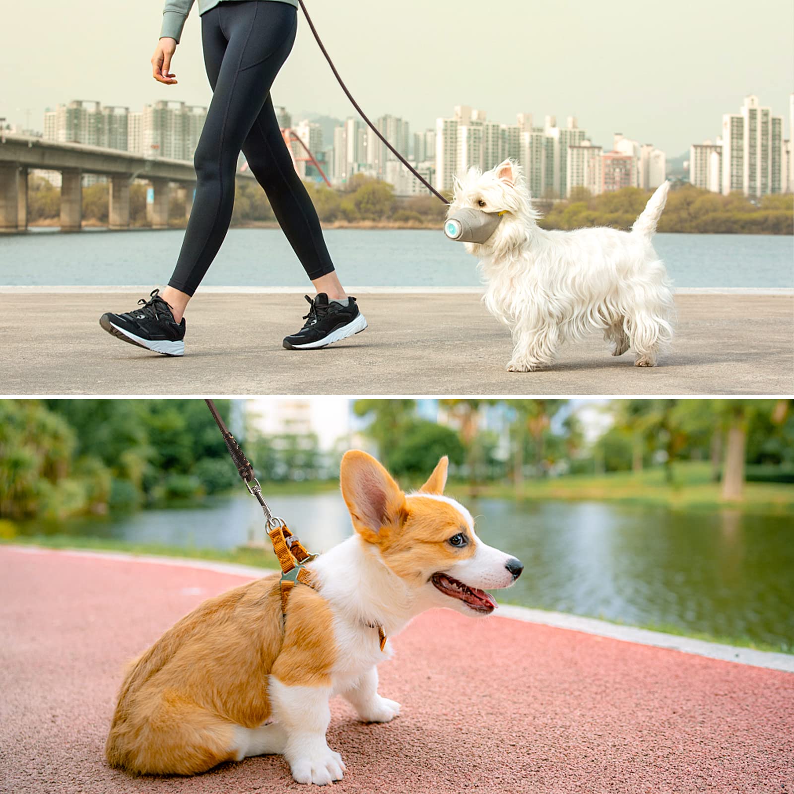 Wellbro Genuine Leather Dog Leash, 6Ft Super Thin And Lightweight Dog Leash, Soft And Slim Pet Leashes For Puppies And Cats Less Than 15Lb