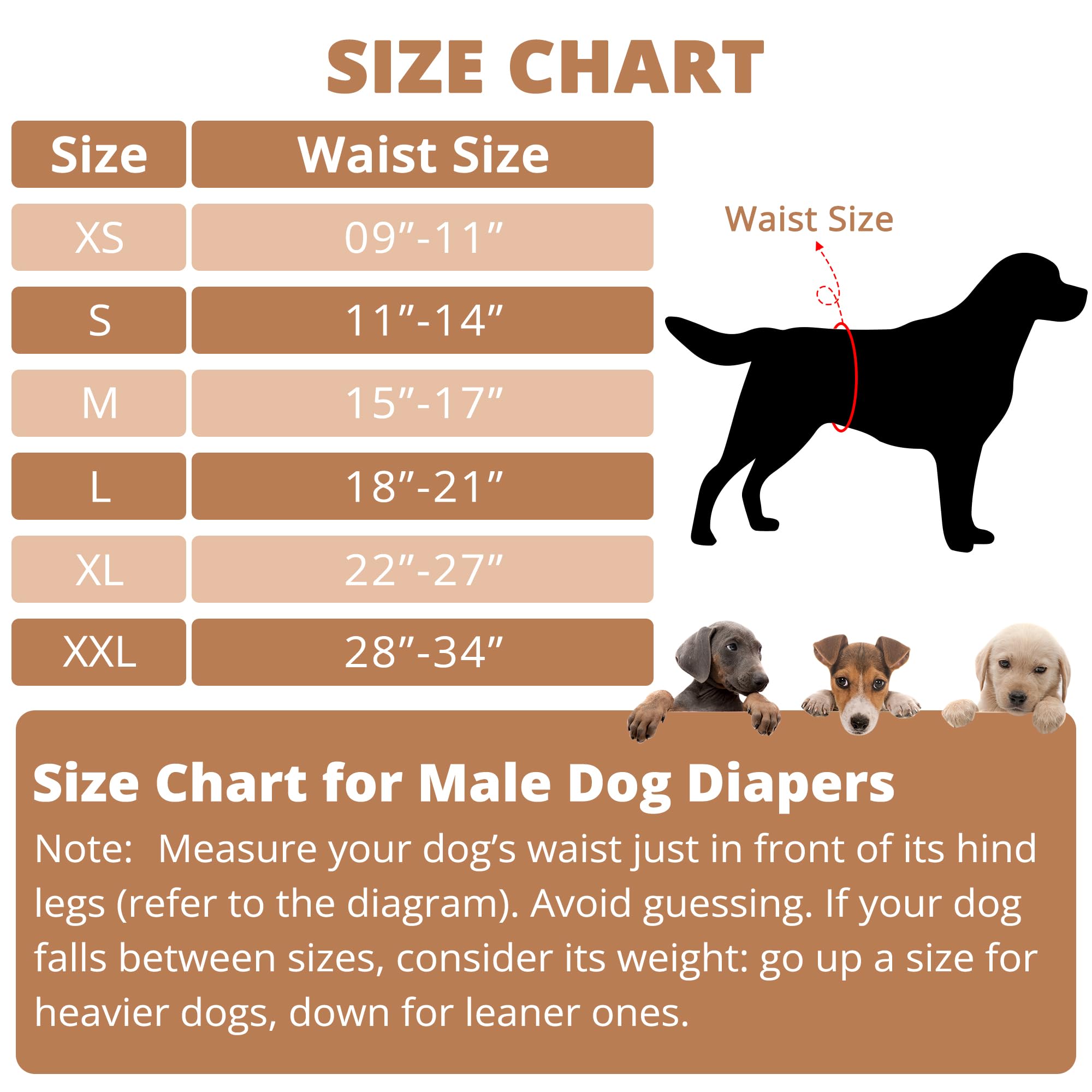 Paw Legend Washable Dogs Diapers Male Dog Belly Bands for Male Dogs Diapers Reusable Puppy & Doggie Diapers Male (4 Pack, Large)