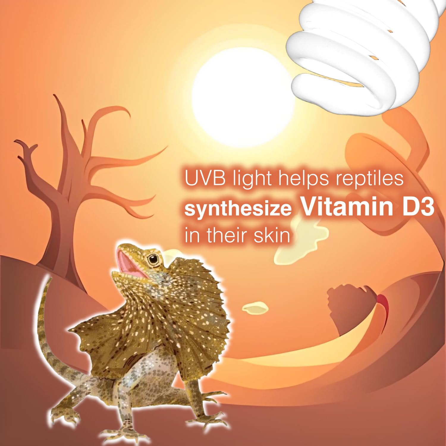 Mrreptile Uvb Reptile Lamp Light, 24W 10.0 Uvb Bulb Light For Reptiles, Uva Uvb Reptile Light, Desert Reptiles Uvb Lamp For Bear
