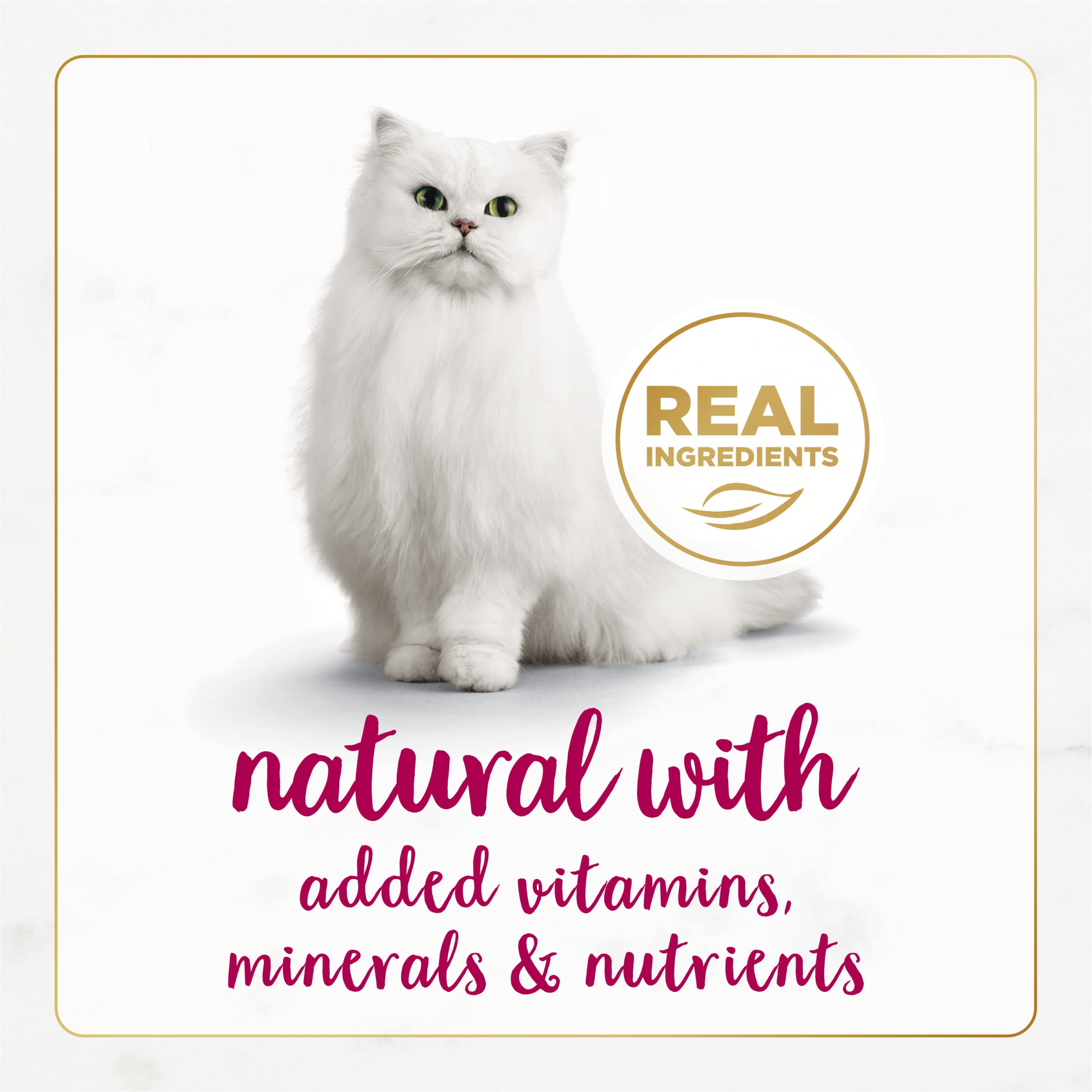 Purina Fancy Feast Wet Cat Food Natural Gourmet Naturals Natural White Meat Chicken and Beef Recipe in Wet Cat Food Gravy - (Pac
