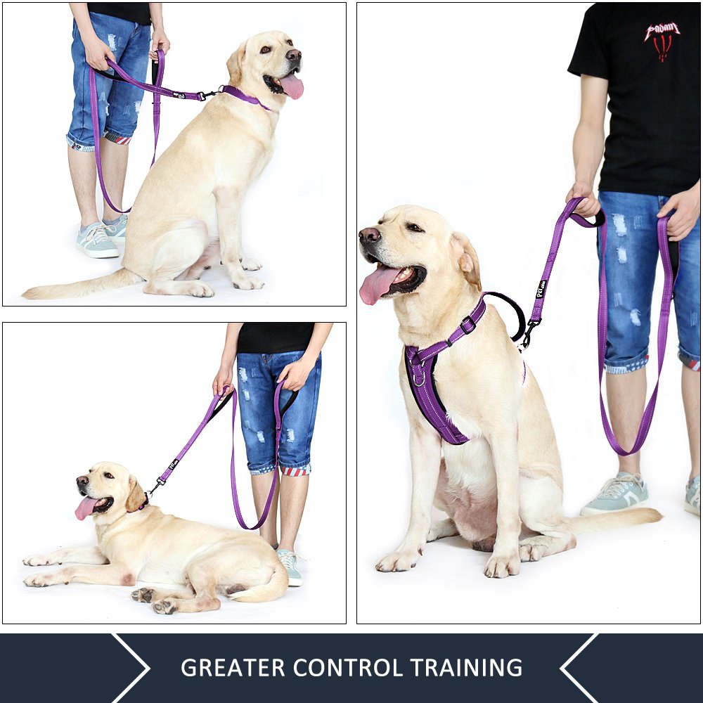 Plutus Pet Dog Leash 6ft Long, Traffic Padded Two Handle, Heavy Duty, Reflective Double Handles Lead for Control Safety Training