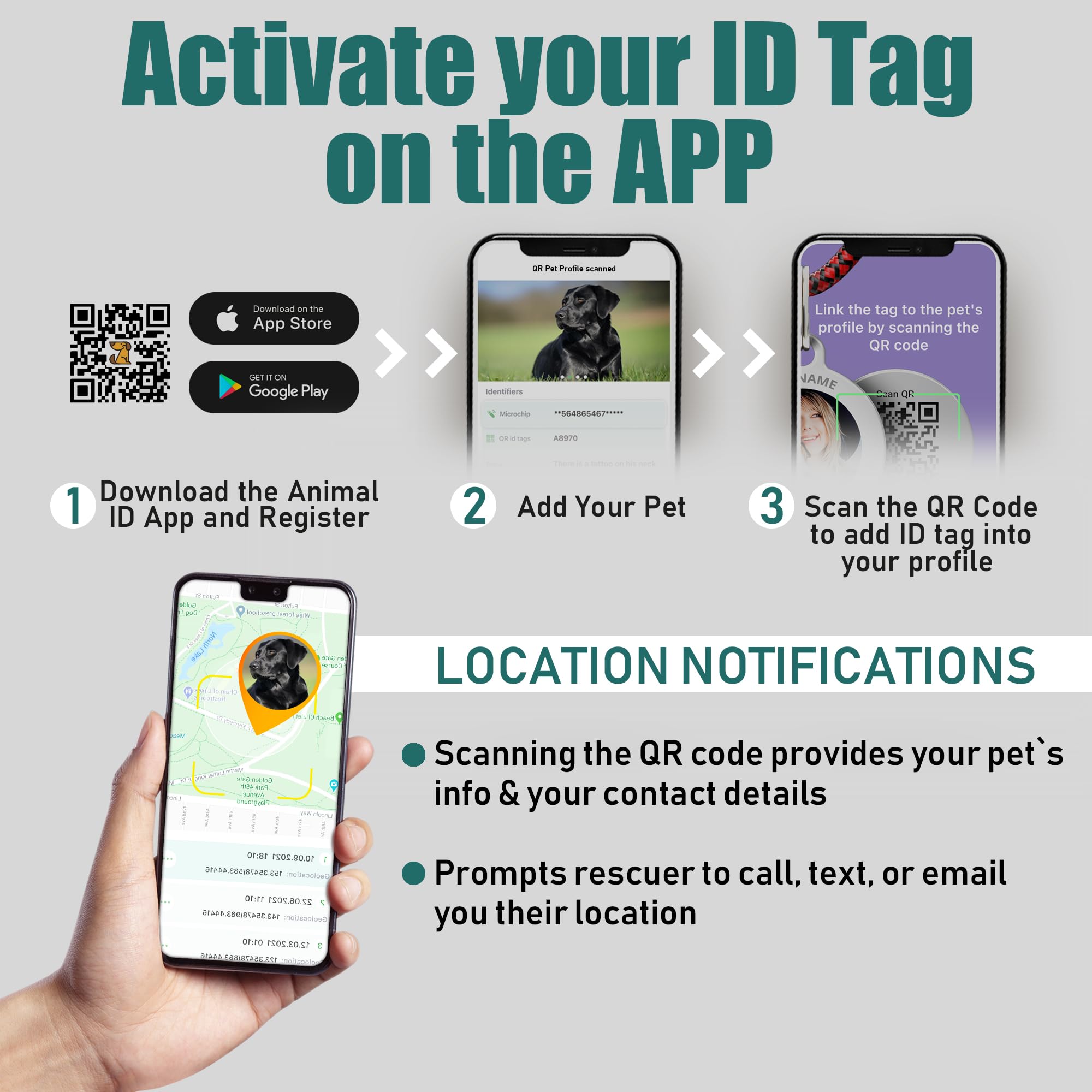 Bronzedog Leather Dog Collar With Metal Buckle Durable Basic Pet Collars For Small Medium Large Dogs (13-16 Inch (Pack Of 1), Gr