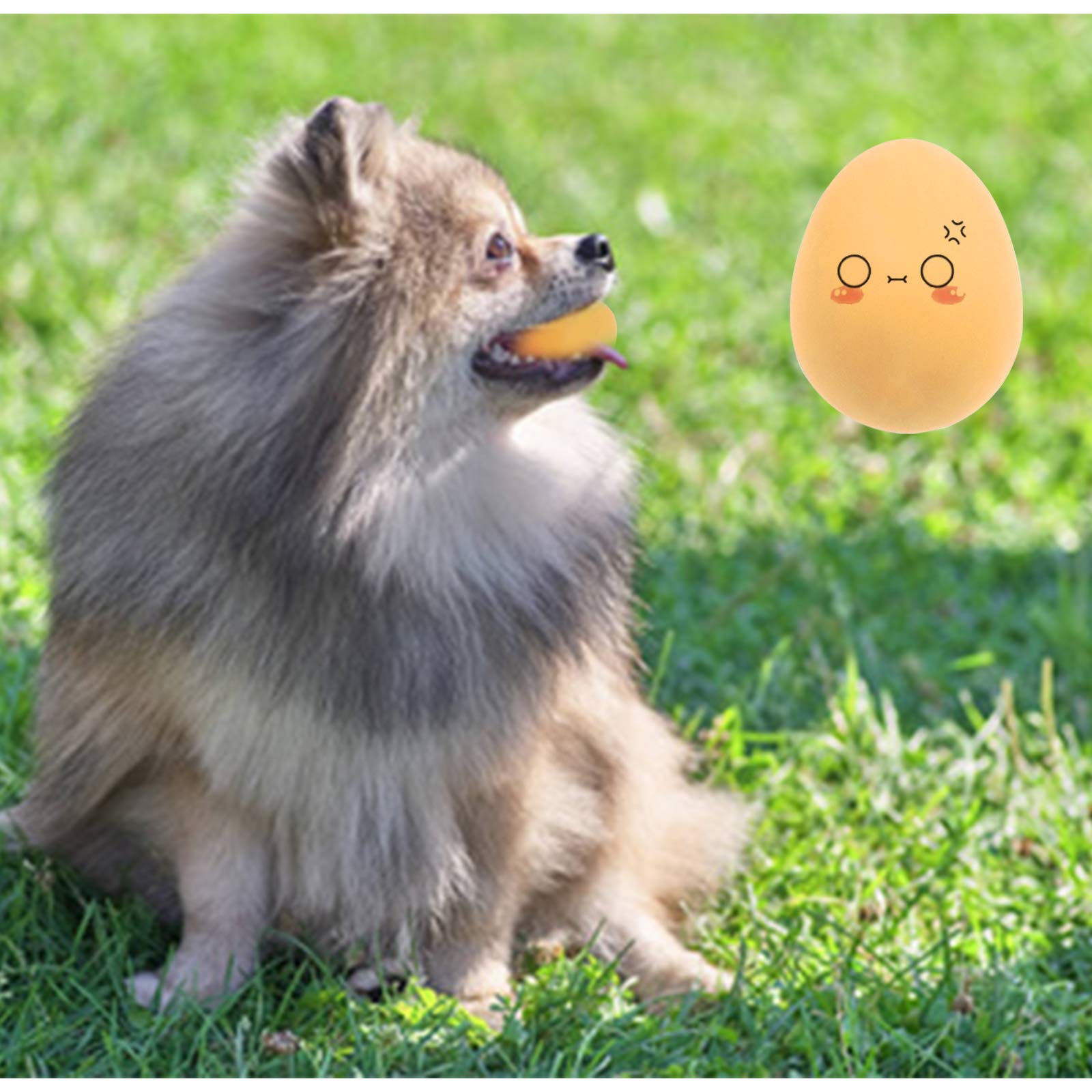 Andiker Dog Egg Toy, 2Pcs Soft Rubber Dog Ball Toy Interactive Puppy Toys For Small Dogs Fetch Play Soft Rubber Fake Egg Bouncy 