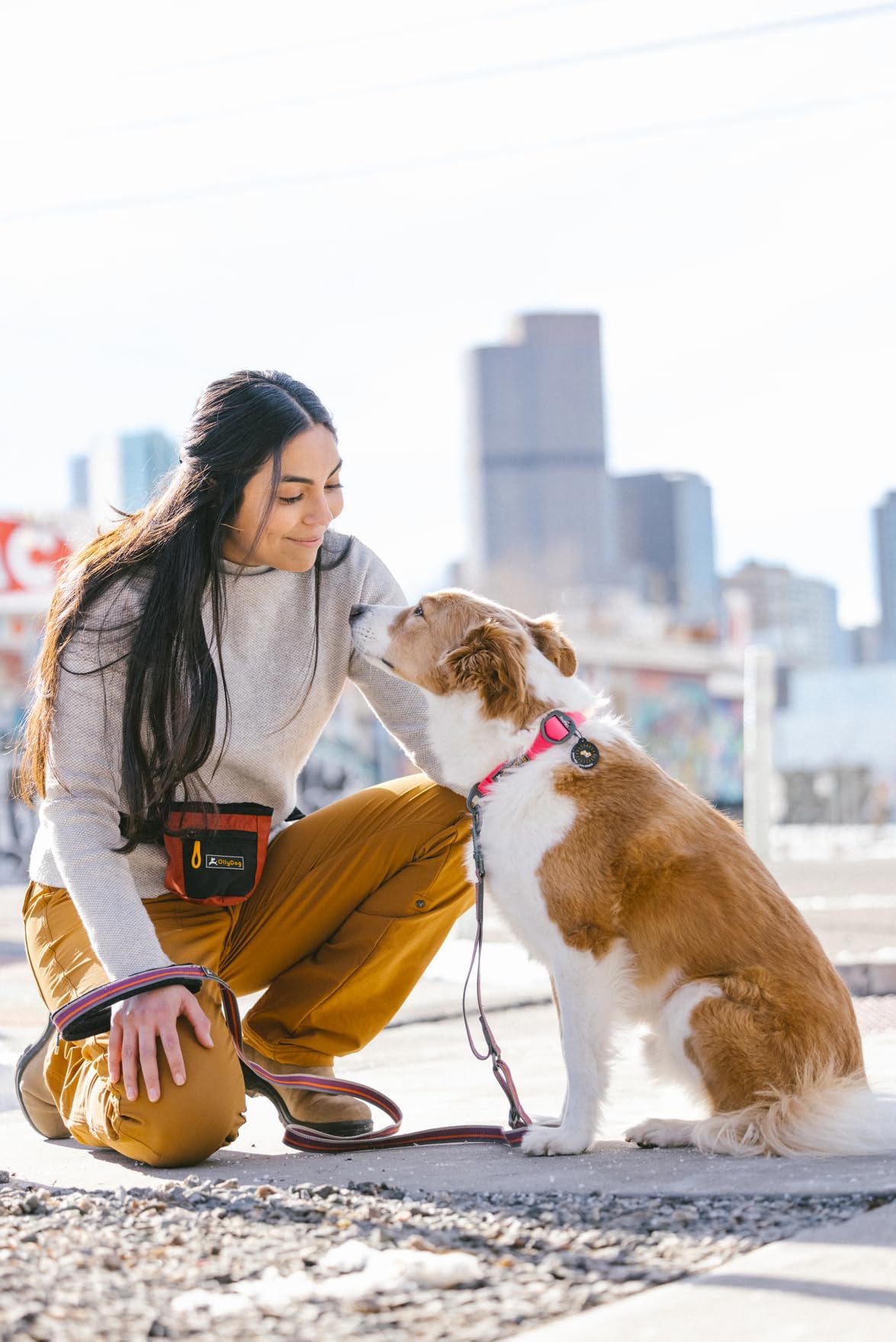 Ollydog Tilden Collar, Waterproof Dog Collar With Quick Release Buckle, Coated Stink-Proof Webbing, Lightweight Collar For Large, Medium And Small Dogs (Medium, Pink)