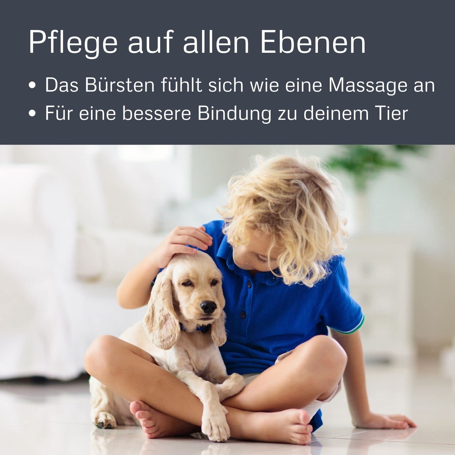 Bamboo Groom Slicker Brush With Stainless Steel Pins For Pets, Large