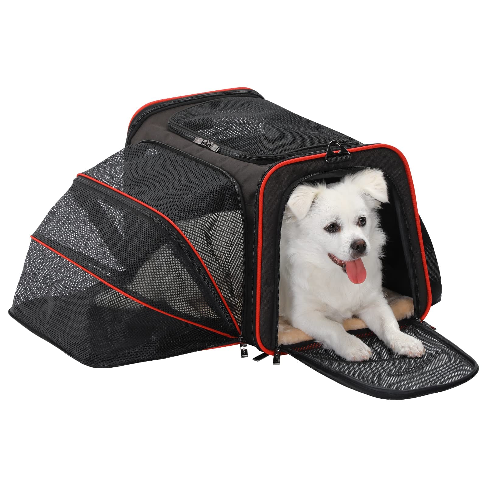 Petsfit Expandable Dog Carrier Large Cat Carrier, Soft-Sided Portable Collapsible Pet Travel Carrier for Kittens, Puppies or Sma
