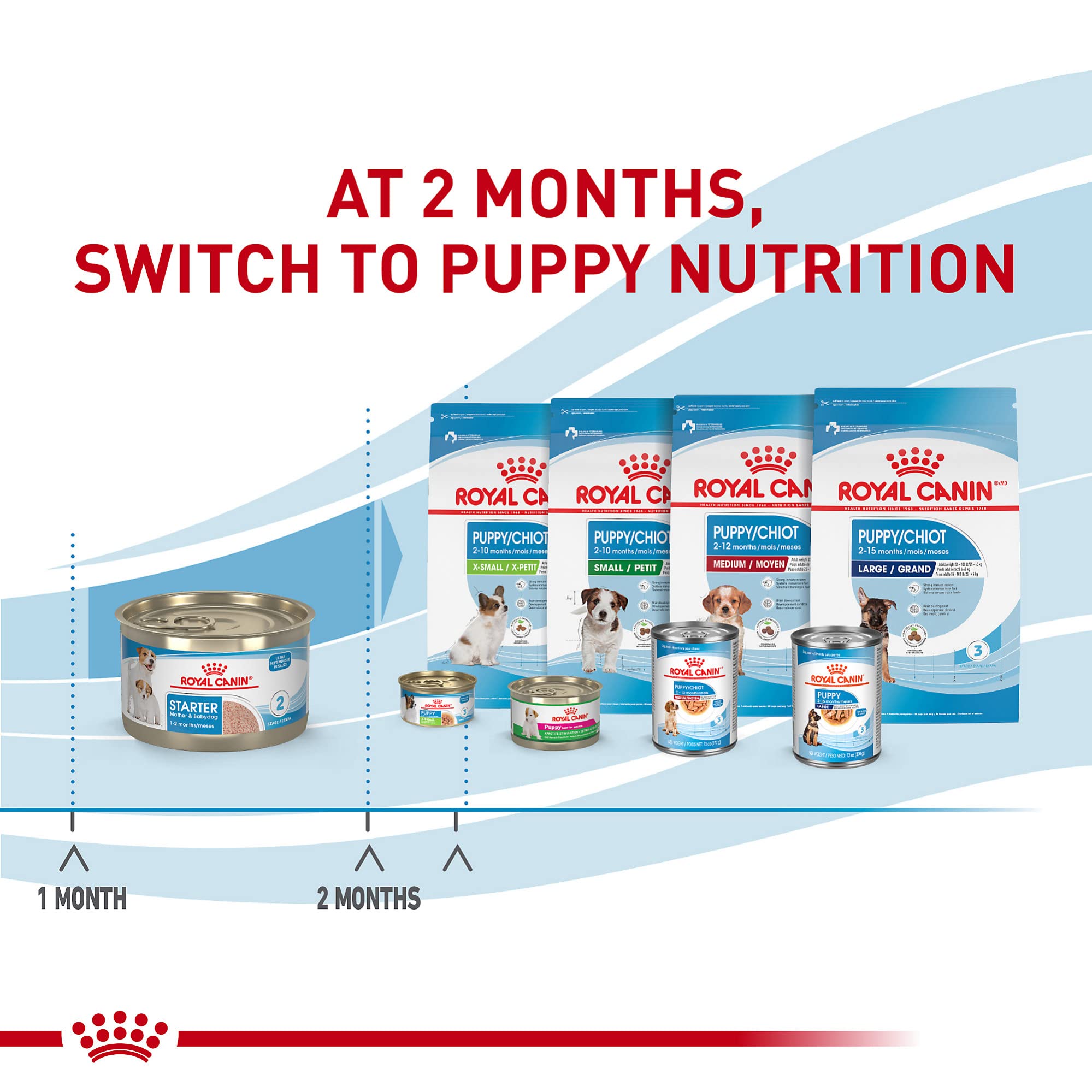 Royal Canin Small Mother & Babydog Starter Mousse in Sauce Wet Dog Food, 5.1 oz Can, 24-Pack