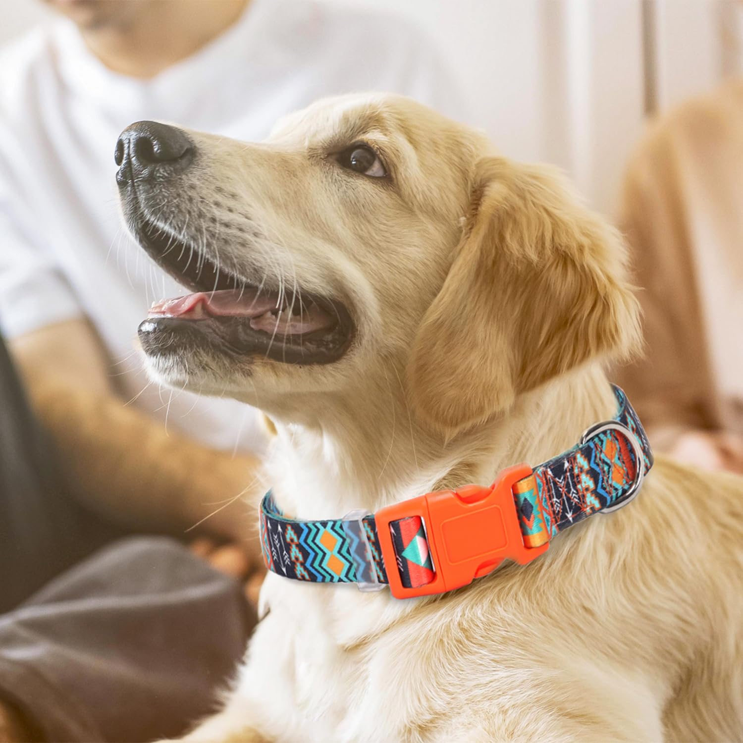 Dog Collar For Medium Dogs With African Tribal Aztec Mexican Native Southwestern Boho Pattern, Adjustable Pet Collars For Xs Sma