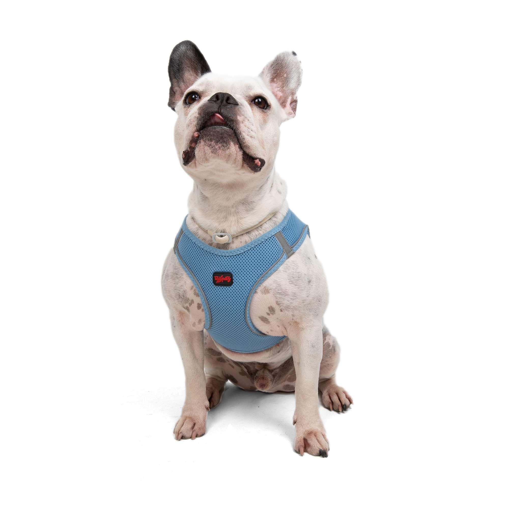 Tailpetz Blue Dog Harness, Adjustable Step in No Pull Dog Harness for Large Dog, Reflective Puppy Harness for Puppy Training, La