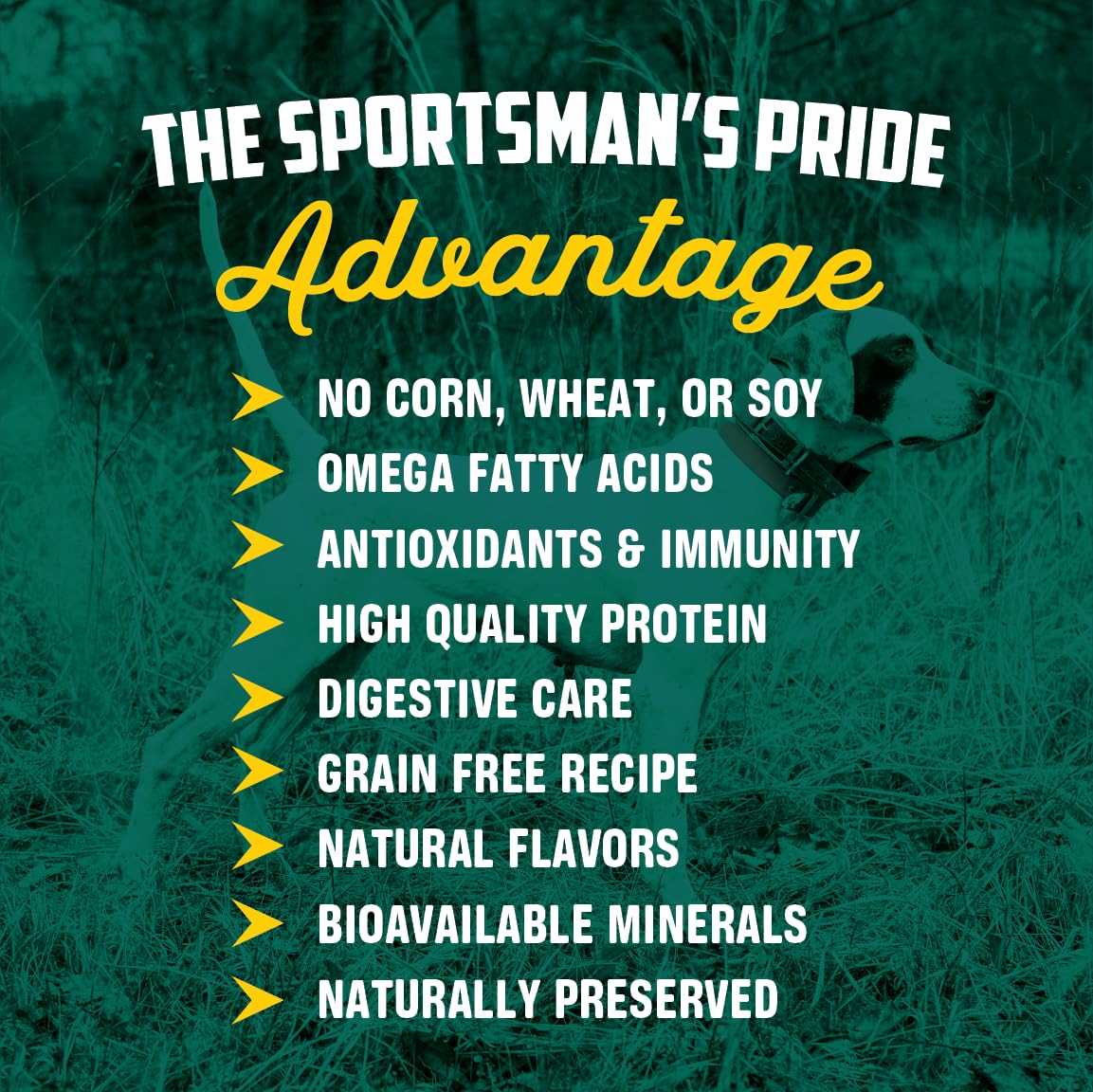 Sportsmans Pride Field Master Grain-Free Salmon & Sweet Potato Recipe Dry Dog Food, 30-lb Bag