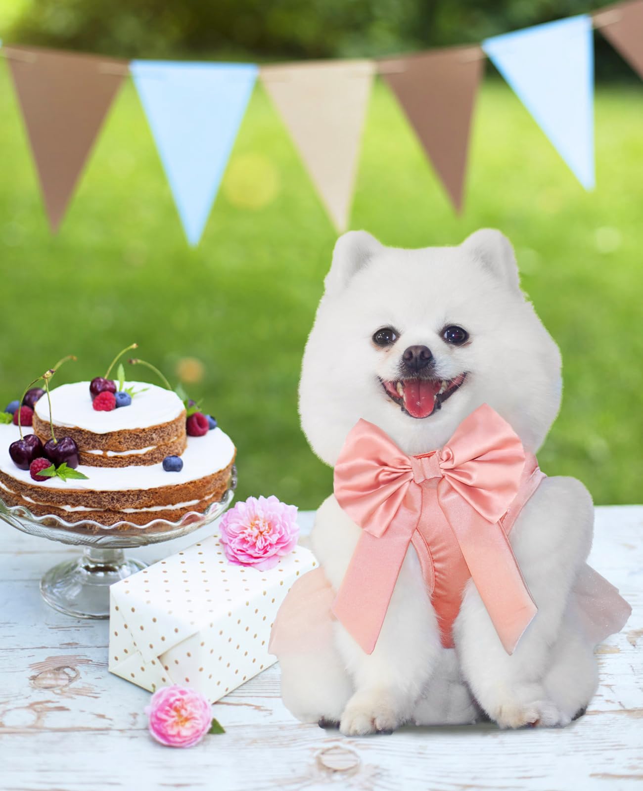 Topkins Summer Girl Dog Dress, Dog Silk Tulle Dress, Cute Princess Dog Dresses With Bow, Lace Pet Birthday Party Outfit Dog Tutu