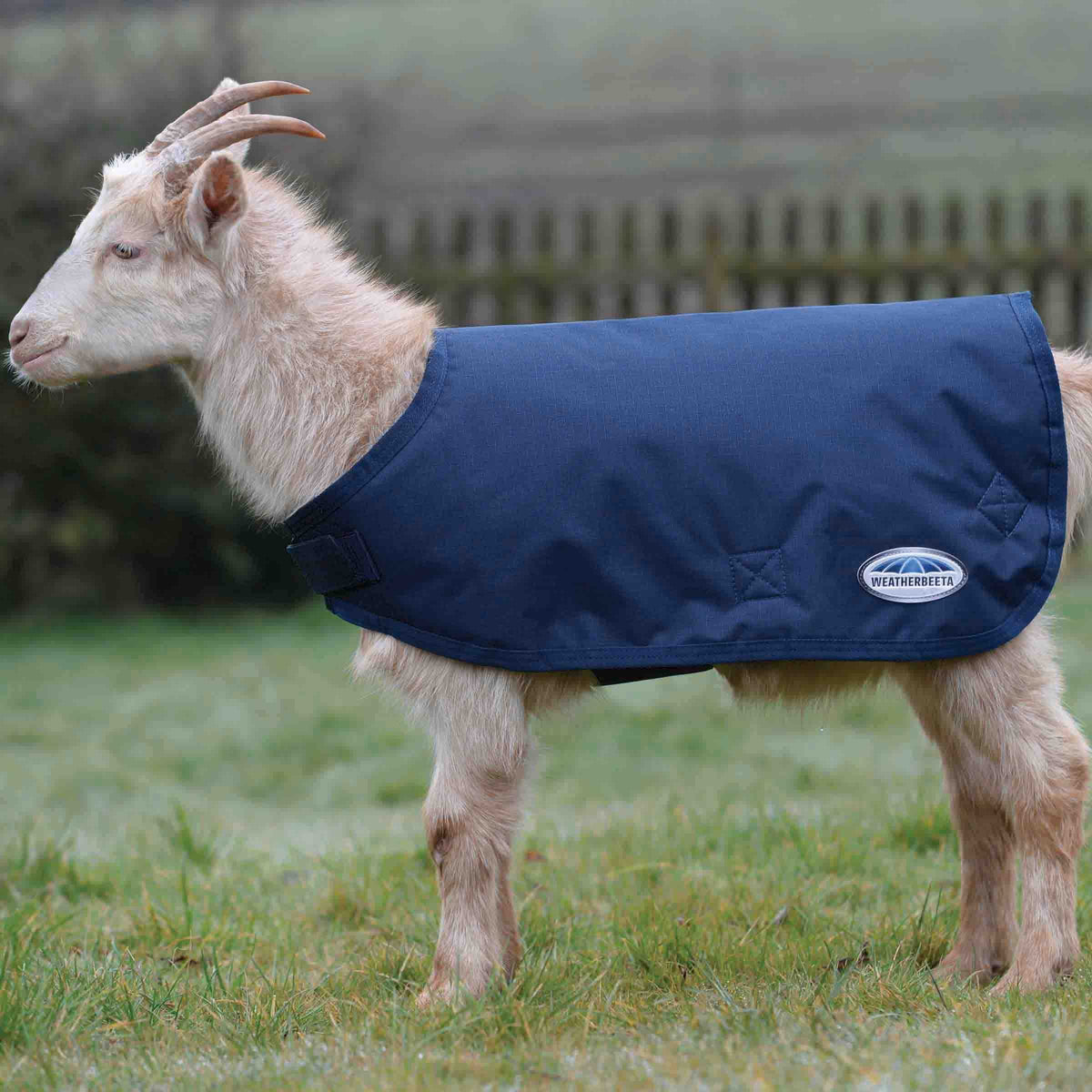 Weatherbeeta Goat Coat, Navy, 3Extra Large