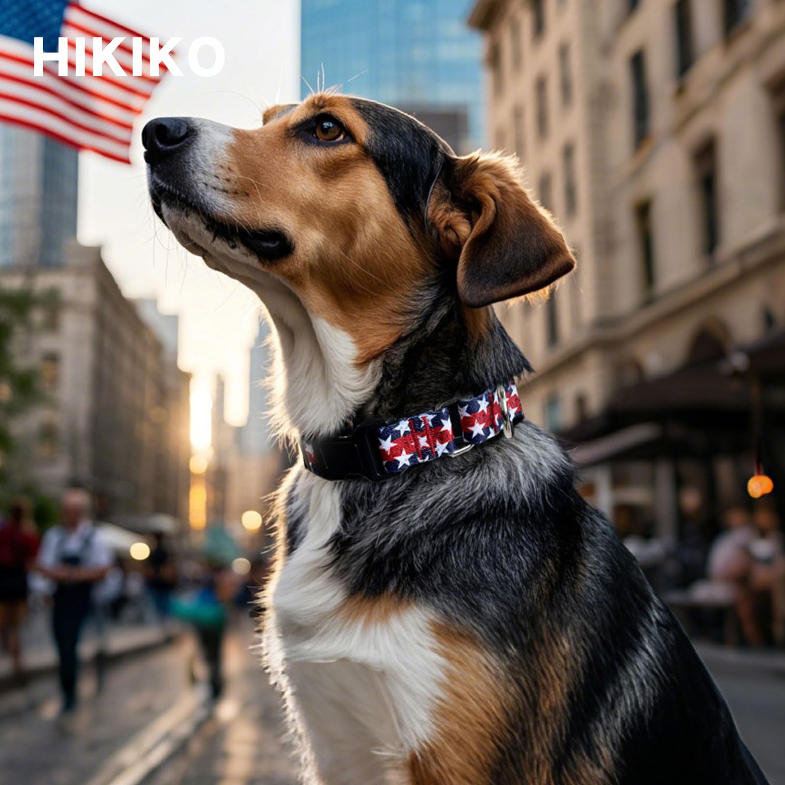 Hikiko American Flag Martingale Collar With Buckle Adjustable Soft Nylon Dog Collars For Small Medium Large Dog (Star,Medium)