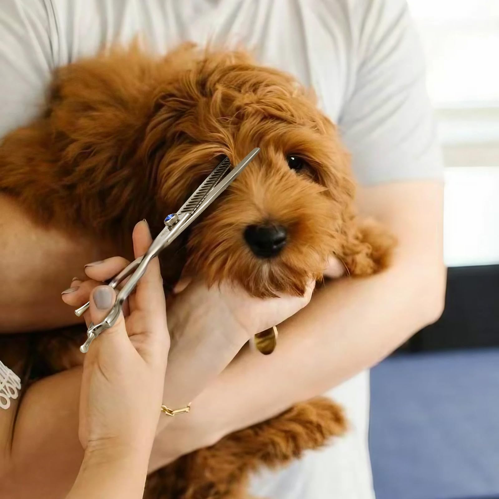 Ethyxe 7' 21-Teeth Chunkers Dog Grooming Scissors, Professional Texturizing Blending Thinning Shears Pets Hair Trimming Kit Wit