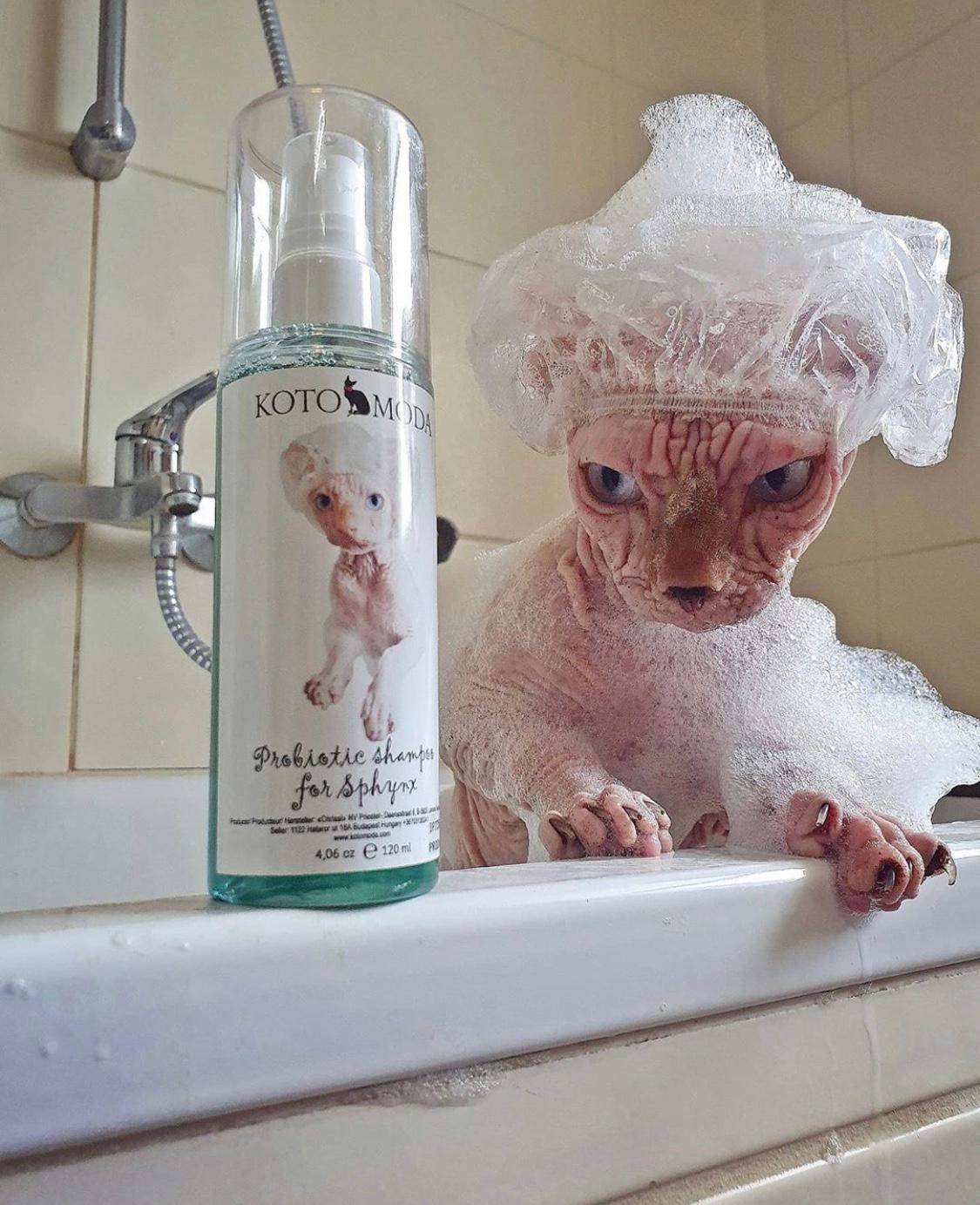 Kotomoda Sphynx Cat Shampoo For Naked And Hairless Cats 120 Ml With Foam Pump