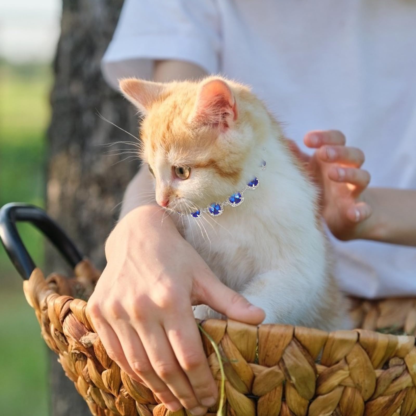 Dog Necklace Pearl Necklace Puppies Adjustable Bling Pet Collar Rhinestones Charm Dogs Cats Kittens Weddings Birthdays