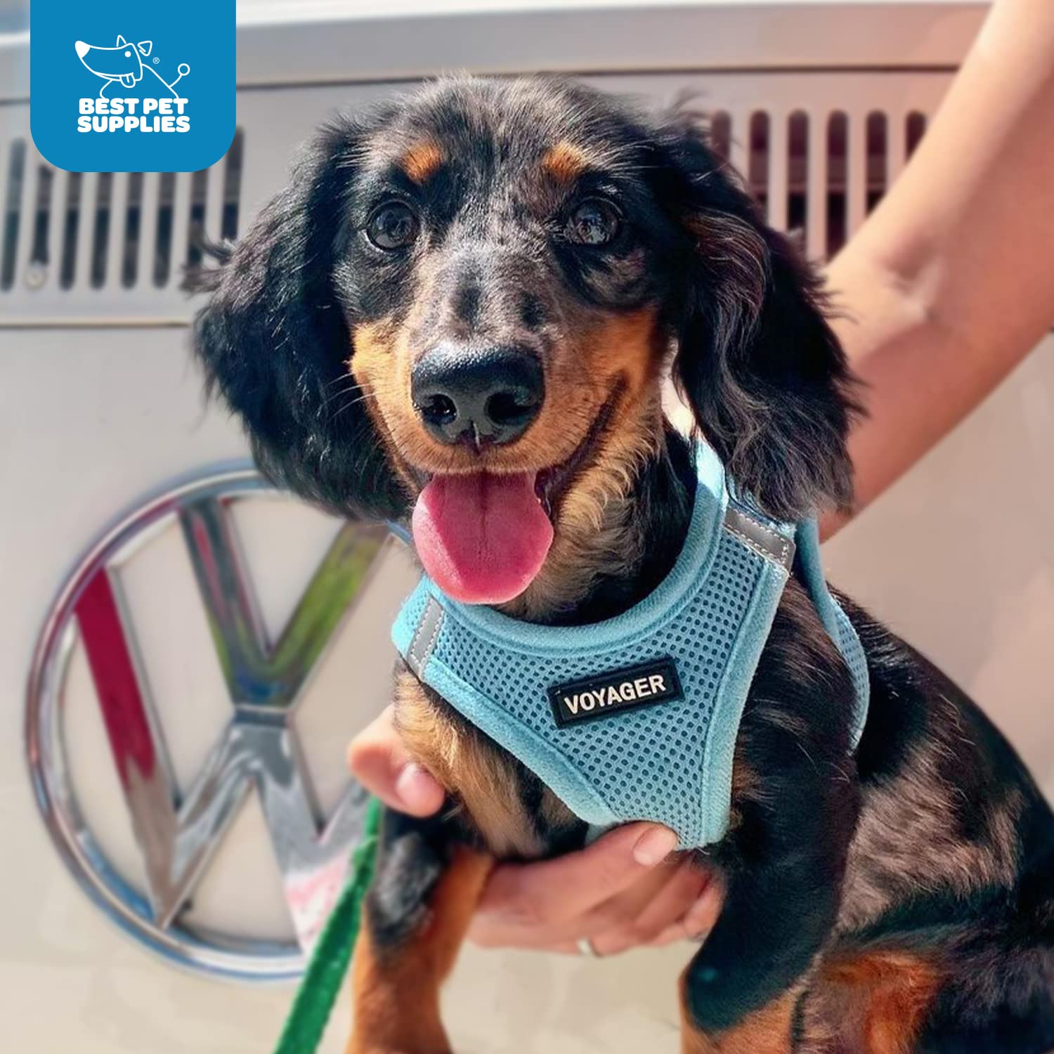 Voyager Step-In Air Dog Harness - All Weather Mesh Step In Vest Harness For Small And Medium Dogs And Cats By Best Pet Supplies - Harness (Baby Blue), S (Chest: 14.5-16')