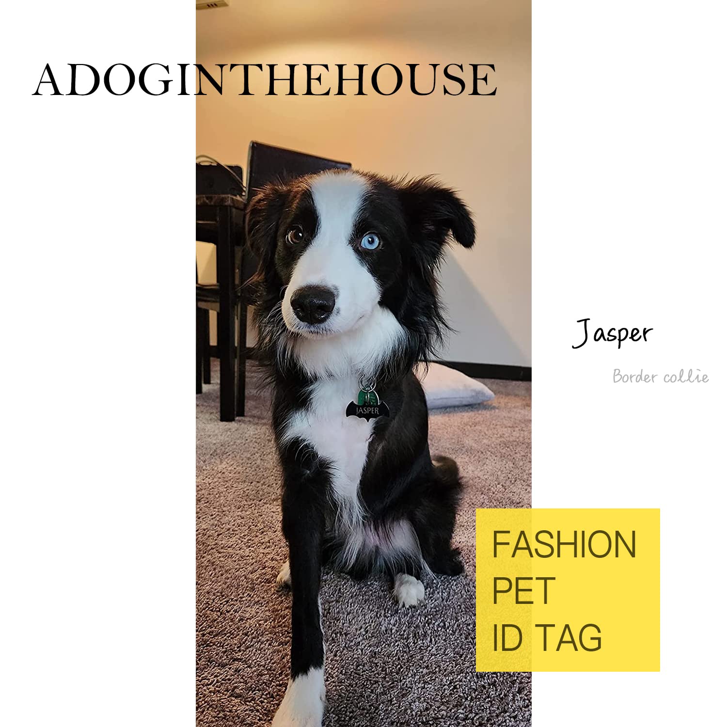 Premium 316 Surgical Grade Stainless Steel Personalized Dog & Cat Id Tags - Fun Shapes For Sporty Outdoor Pets - Custom Engraved