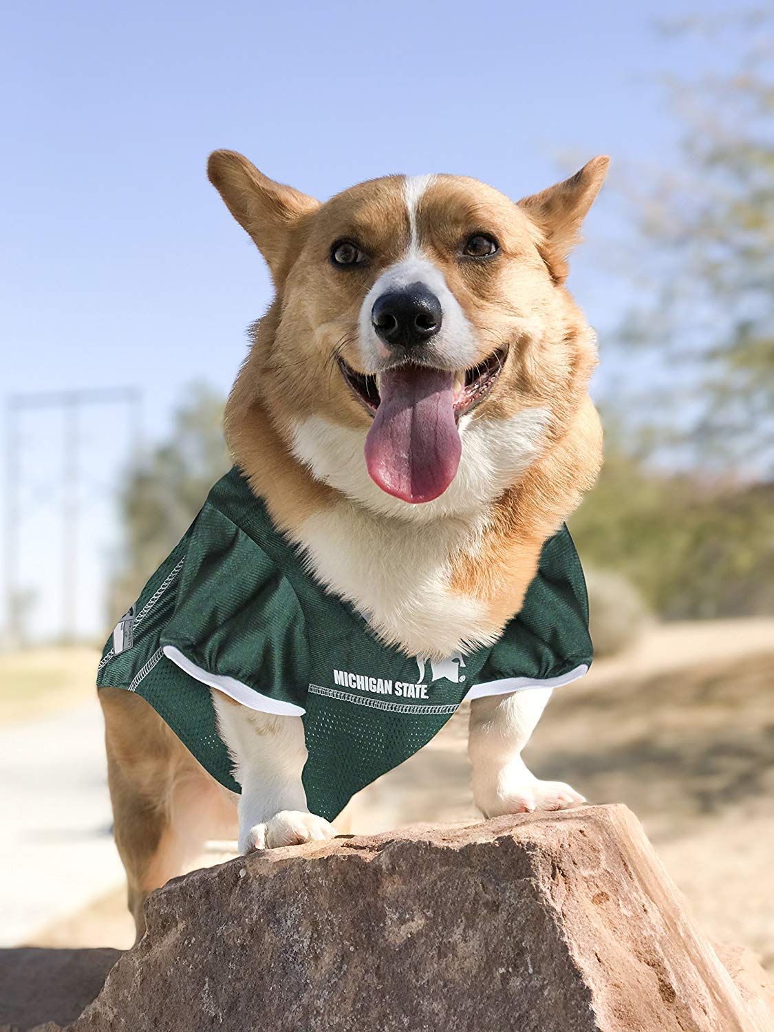 Pets First NCAA College Michigan State Spartans Mesh Jersey for DOGS & CATS, X-Small. Licensed Dog Jersey with your Favorite Foo