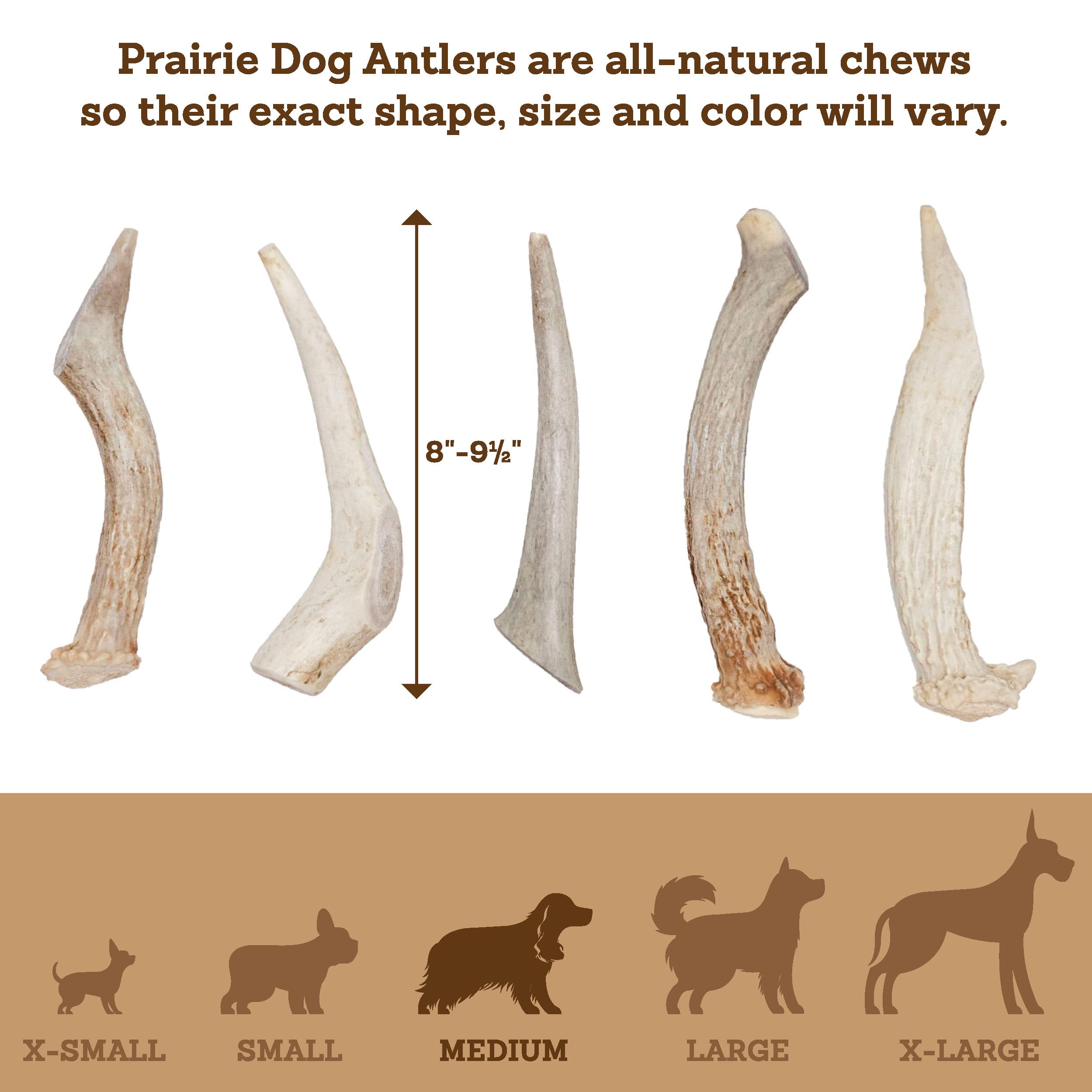 Prairie Dog Pet Products Deer Large Antler Treat, 8-9