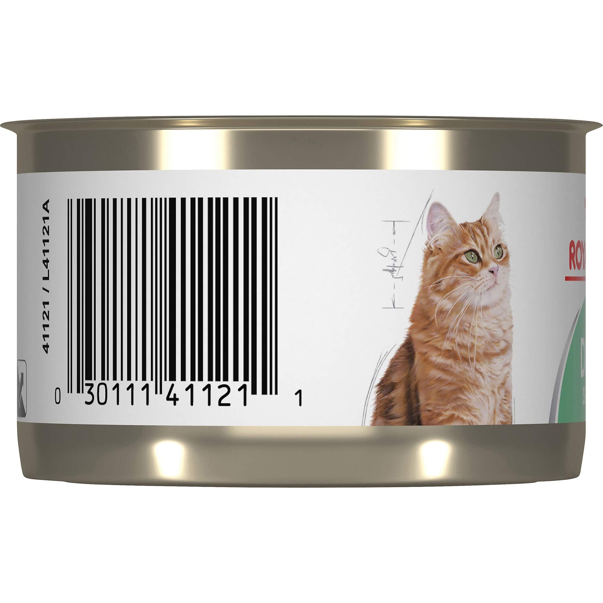 Royal Canin Feline Care Nutrition Digestive Care Loaf in Sauce Canned Cat Food, 5.1 oz can (24-count)