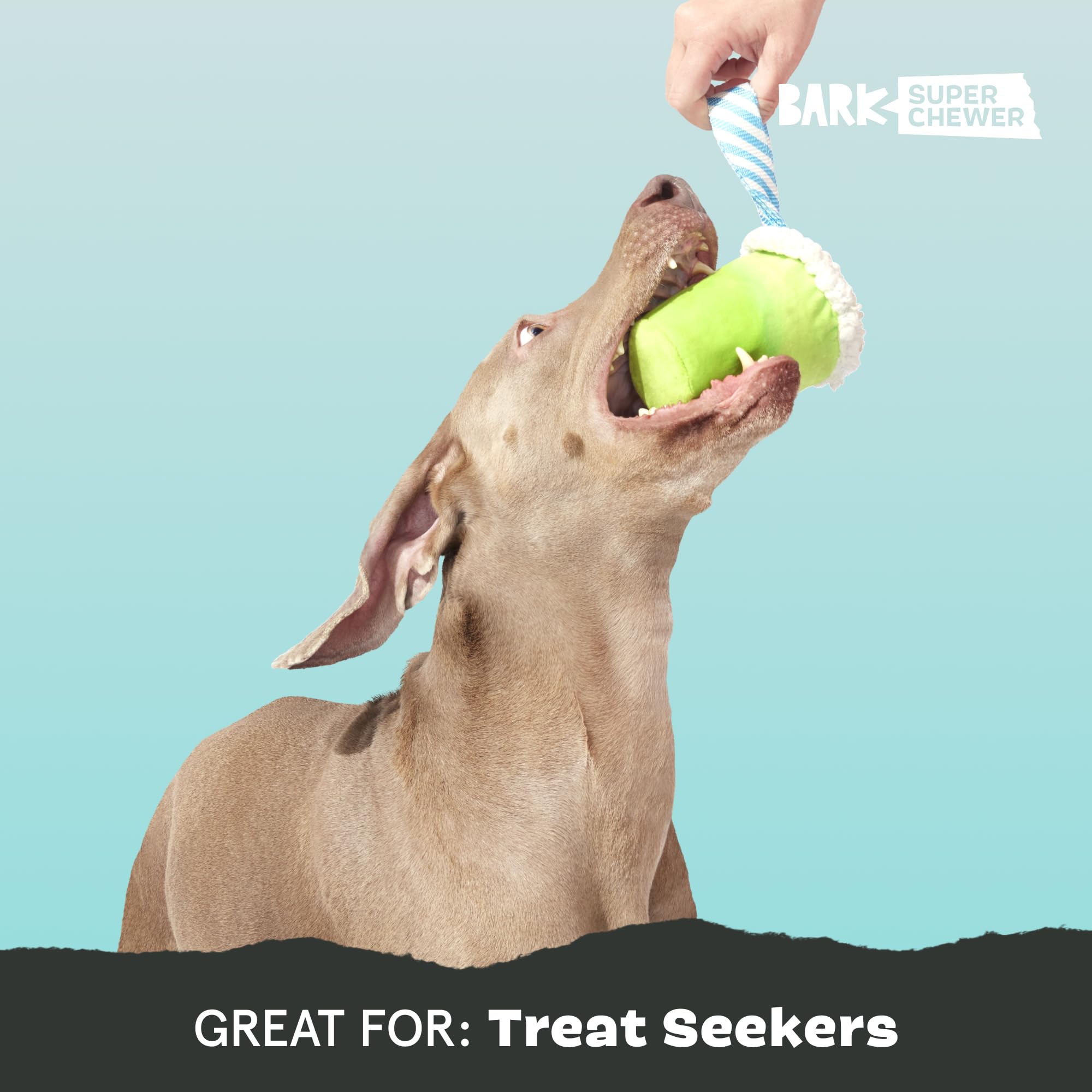 Barkbox Get Ripped Margrrrita Super Chewer Tough Dog Chew Toy For Aggressive Chewers, Plush Cover With Rubber Core - 2 Toys In 1
