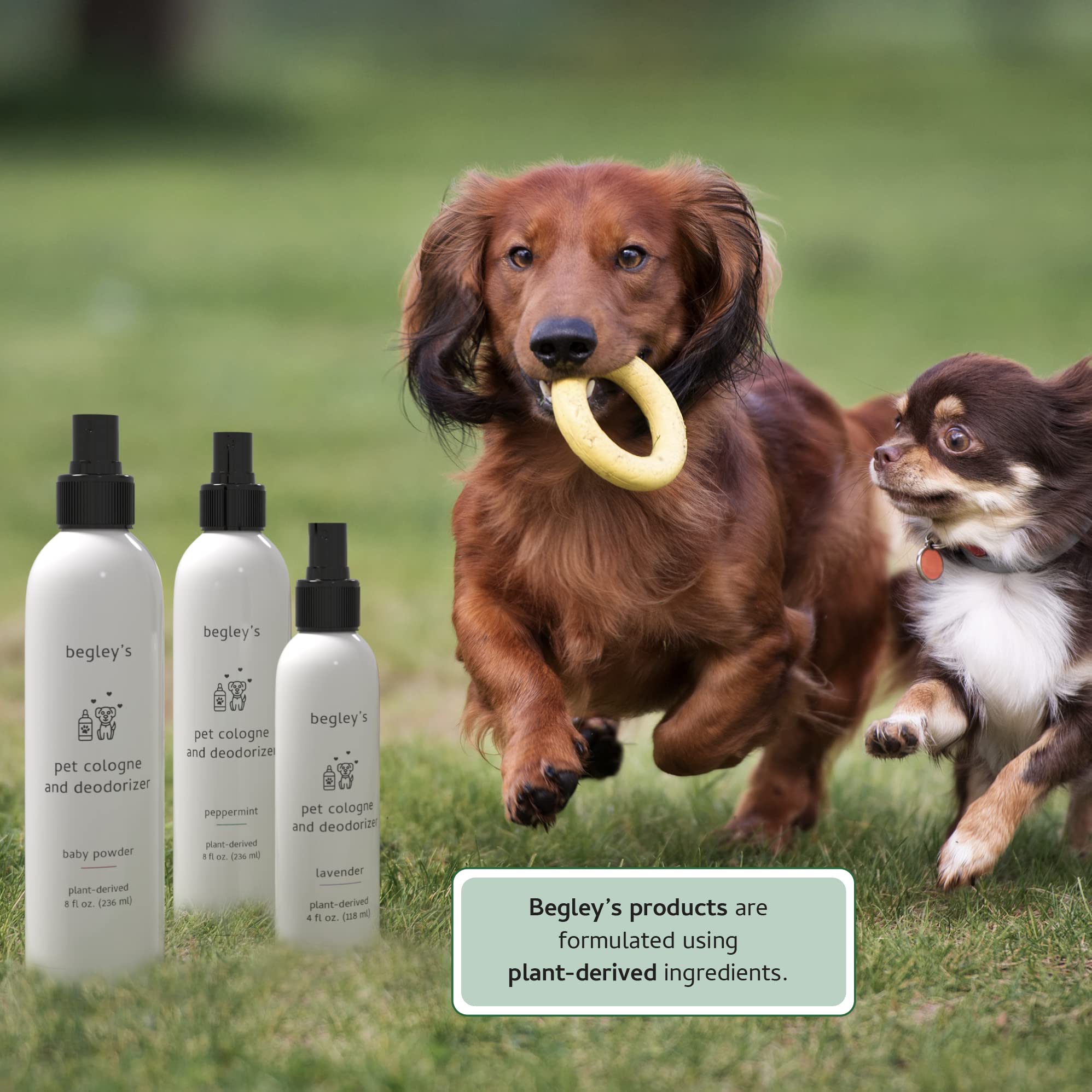 Begley’S Natural Pet Cologne And Deodorizer - Premium Essential Oil Scented Dog Body Spray And Cat Perfume - Dog Grooming Spray And Pet Odor Eliminator - Cat Cologne Mist, Dog Cologne Spray Long Lasting - 8 Oz, Baby Powder, 2 Pack