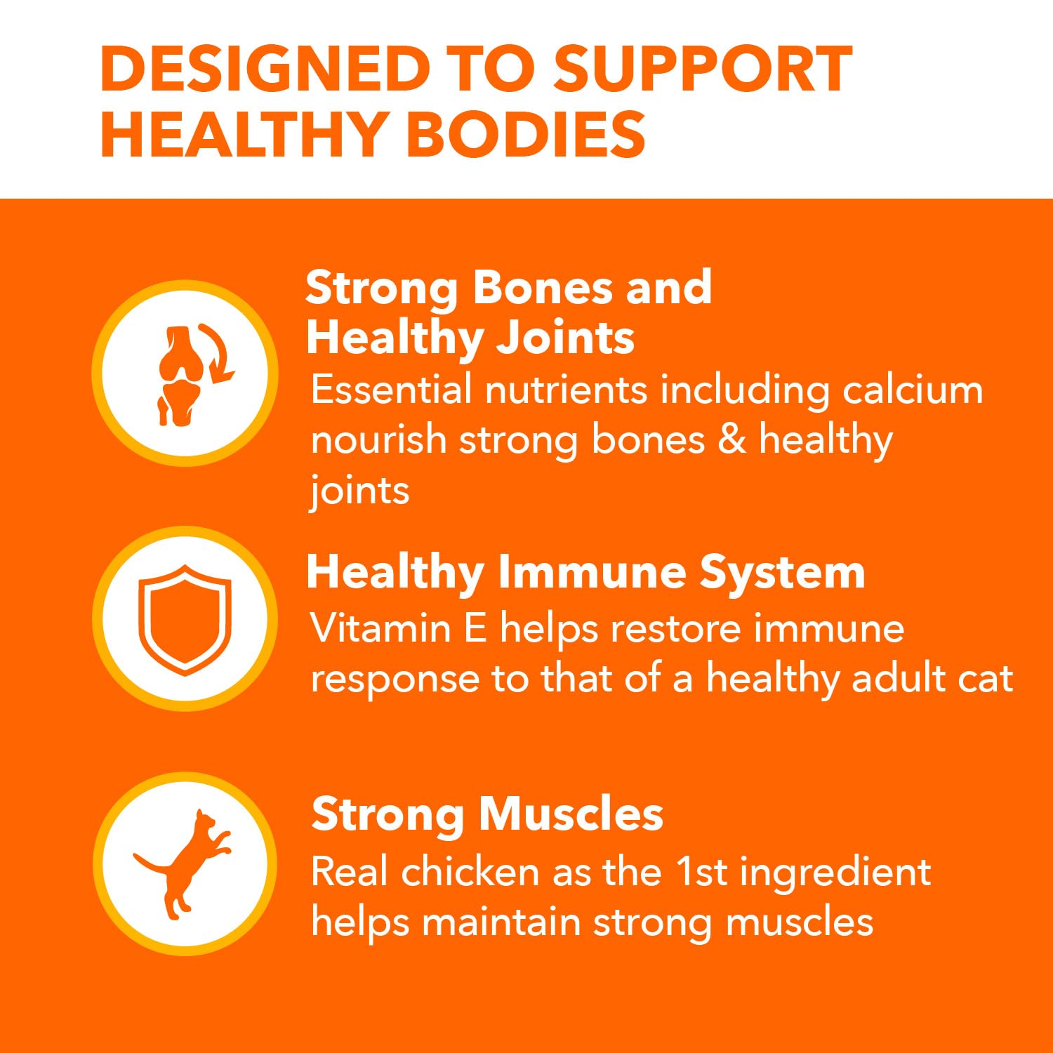 IAMS Proactive Health Healthy Senior Dry Cat Food with Chicken, 7 lb. Bag