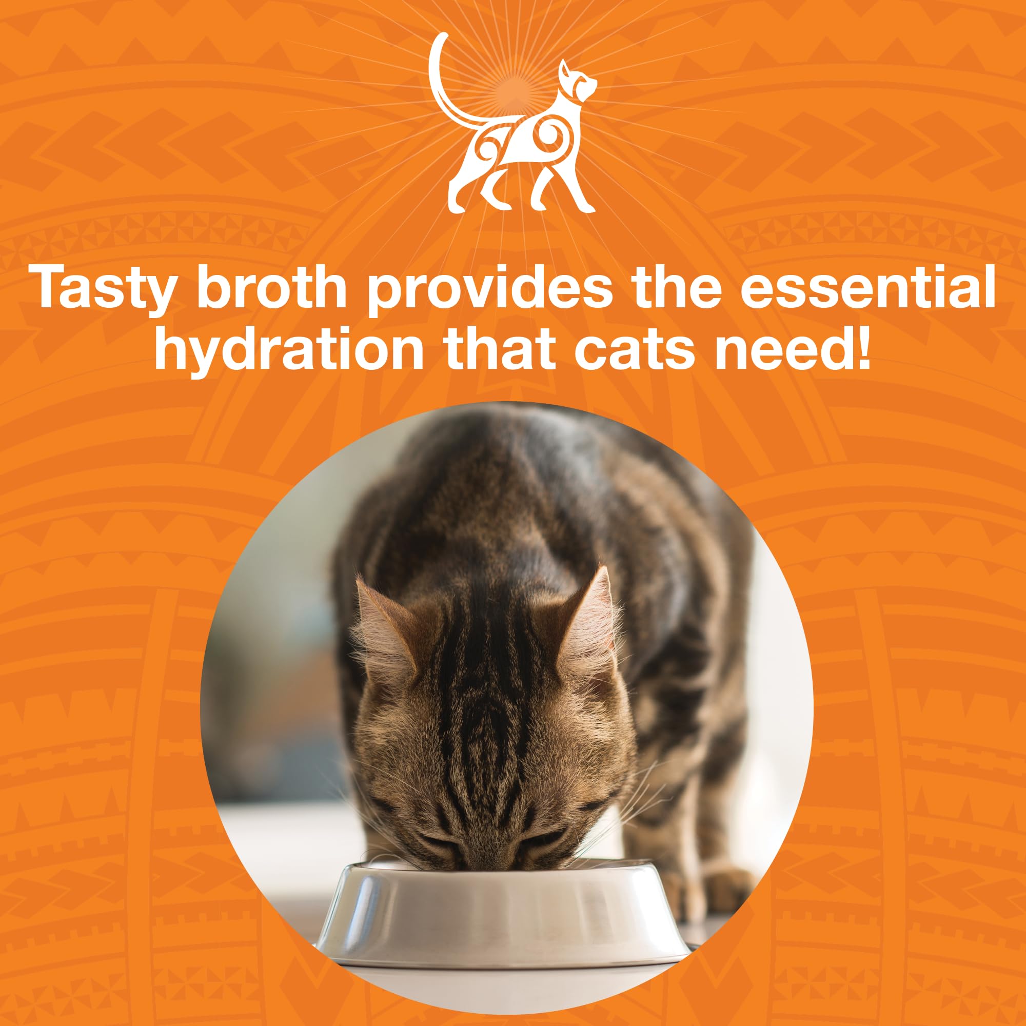 KOHA Pure Shreds Beef Entr  e for Cats, Single Meat Wet Cat Food, 2.8oz Cans (Pack of 24)