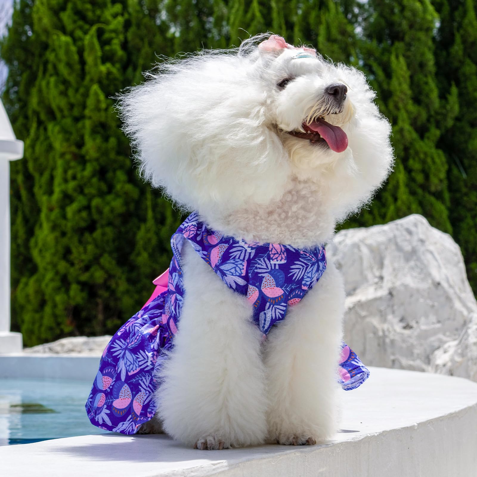 Cutebone Dog Mesh Dress Puppy Sundress Pet Outfit Summer Fashion For Small Dogs Girl Cat Clothes Bf25L