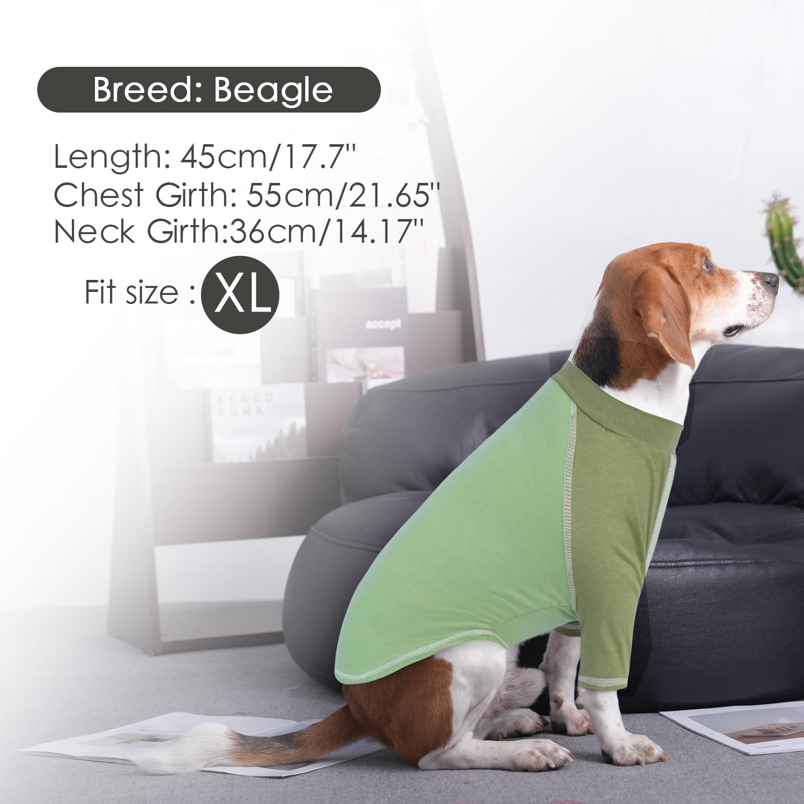 2 Pack Dog T-Shirt With Raglan Sleeves, Bluegreen, X-Large Cozy Dog Summer Shirt, Bright Color Blue Green For Medium Dog Boys, S