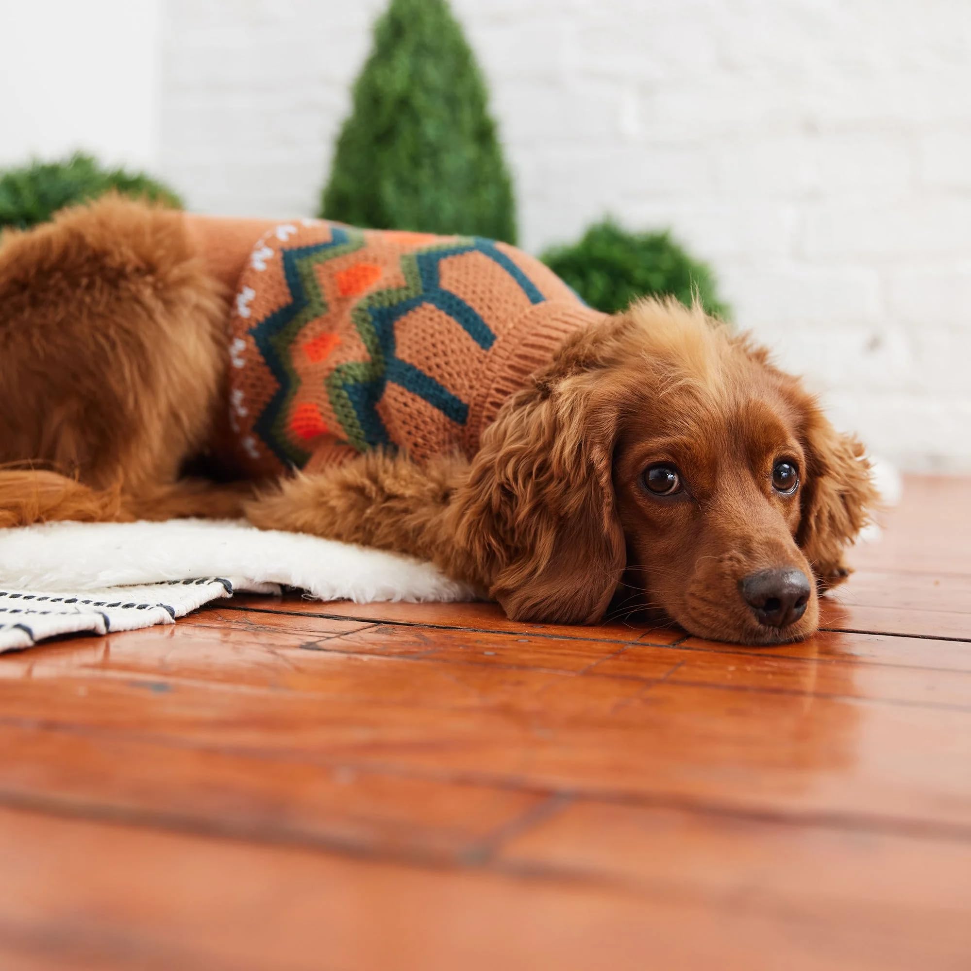 Gf Pet Heritage Sweater Dog Pullover ?Classic Ribbed Knit Sweater For Dogs | Soft & Warm Acrylic | Timeless Design | Small, Medium, Large Pets ?Hazel, L