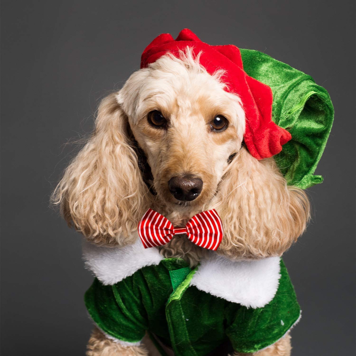 Dog Bow Ties, 40 Pcs Segarty Pet Neck Bows, Bulk Pet Bowties With Adjustable Collar, Grooming Bowknot For Christmas Birthday Holiday Valentine Party Dog Photography Accessories Gift For Puppy Dogs Cat