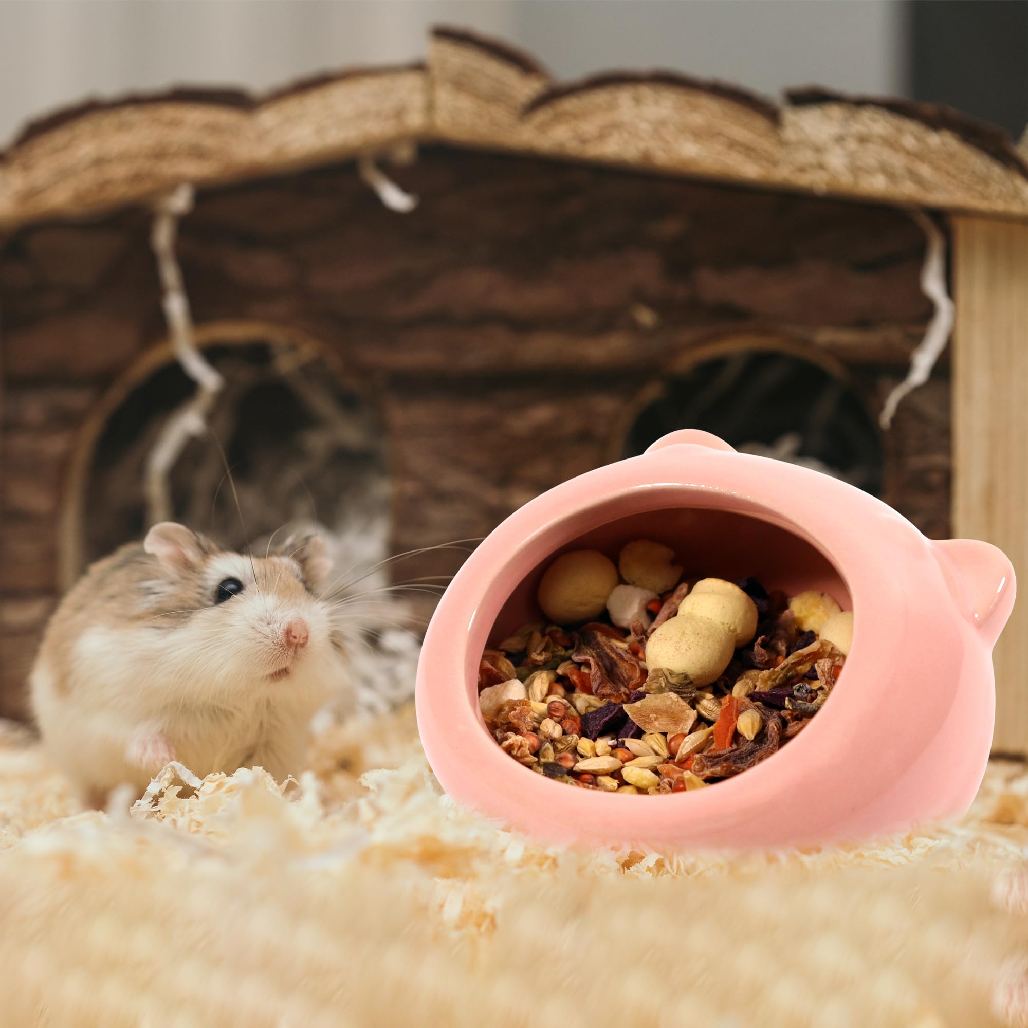 Ceramic Small Pet Hamster Food Bowl Guinea Pig Food Bowls Hamsters Water Bowl Ferret Chinchillas Squirrels Hedgehog Accessories