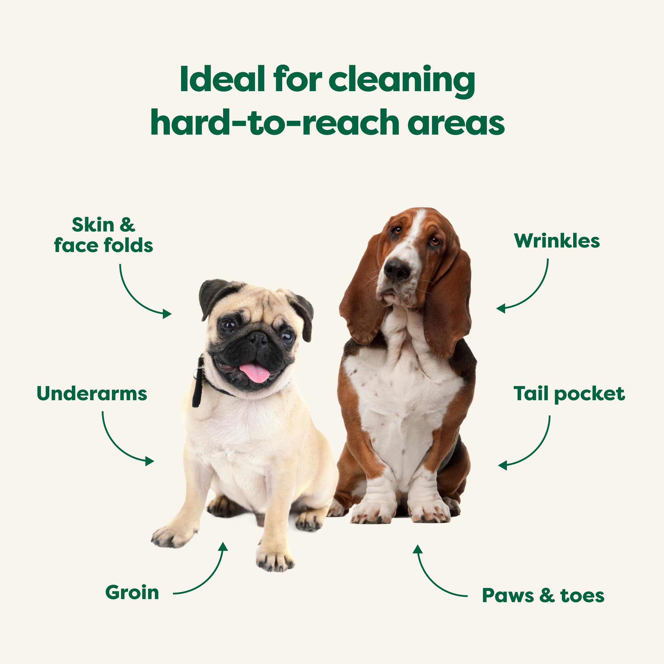 Earth Rated Wrinkle Wipes For Dogs, Perfect For Bulldogs And Pugs, To Cleanse Wrinkles And Folds, Wild Oat Scent, 60 Count