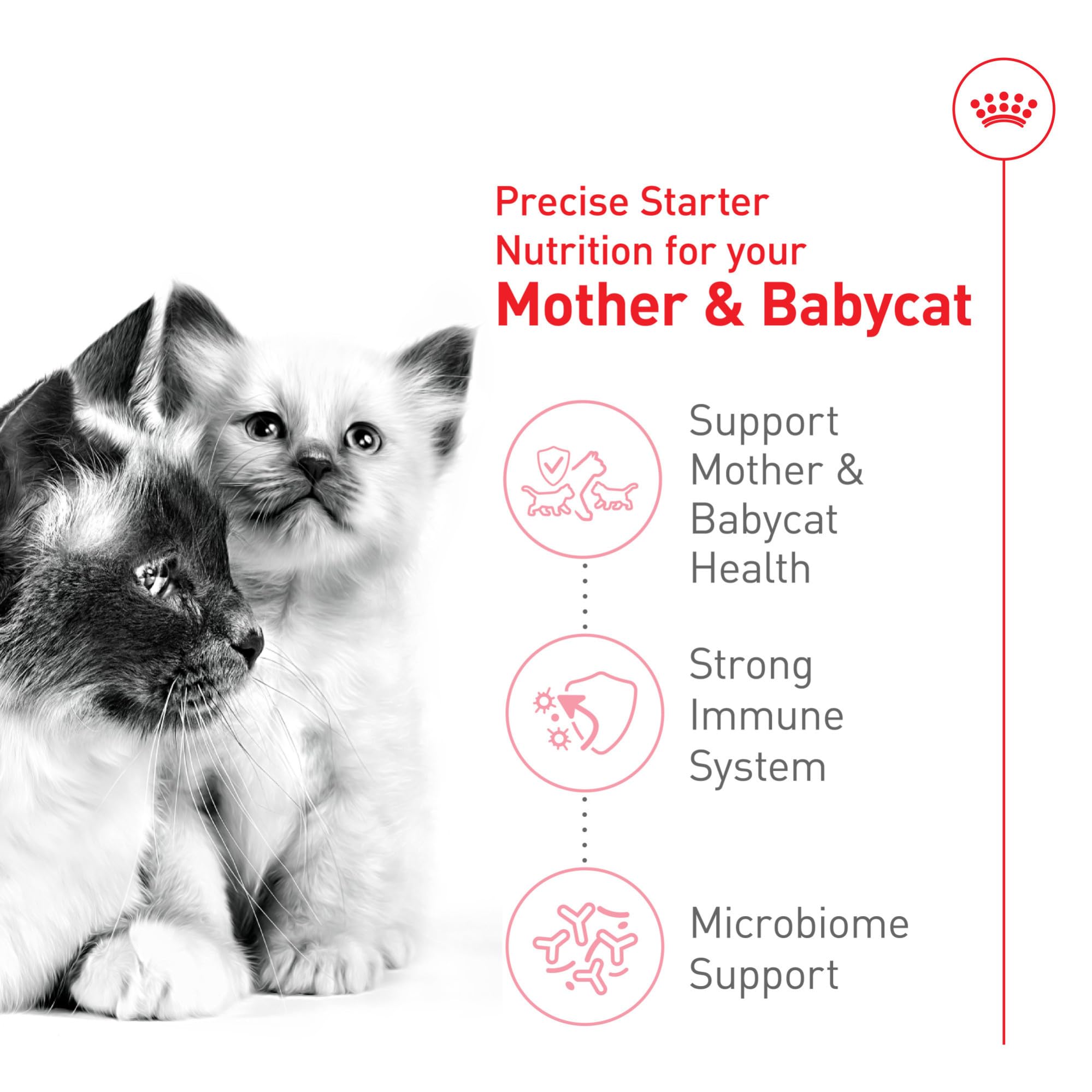Royal Canin Feline Health Nutrition Mother & Babycat Dry Cat Food for Newborn Kittens and Pregnant or Nursing Cats, 6 lb bag