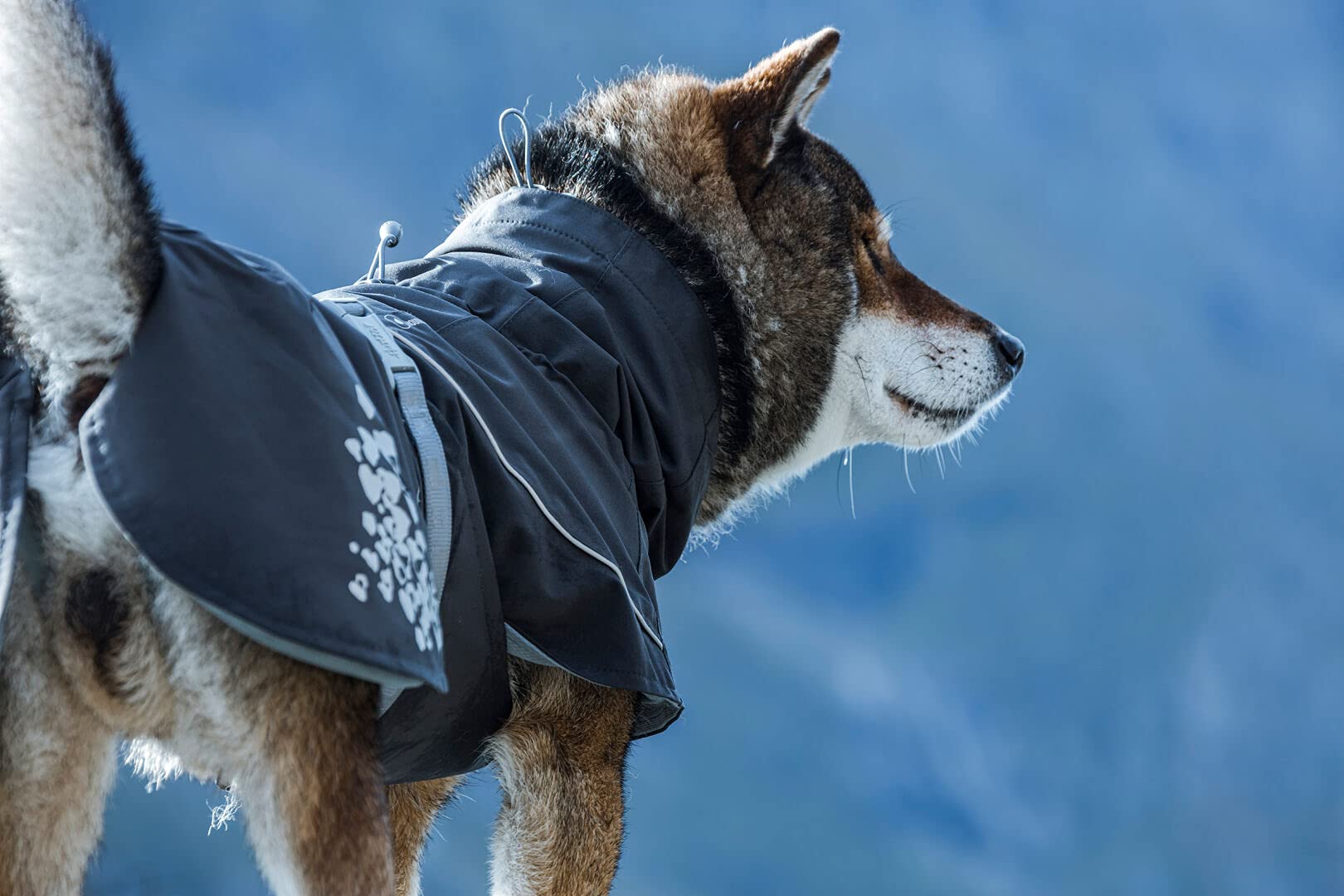 Hurtta Monsoon Coat, Dog Raincoat, Blackberry, 18 In