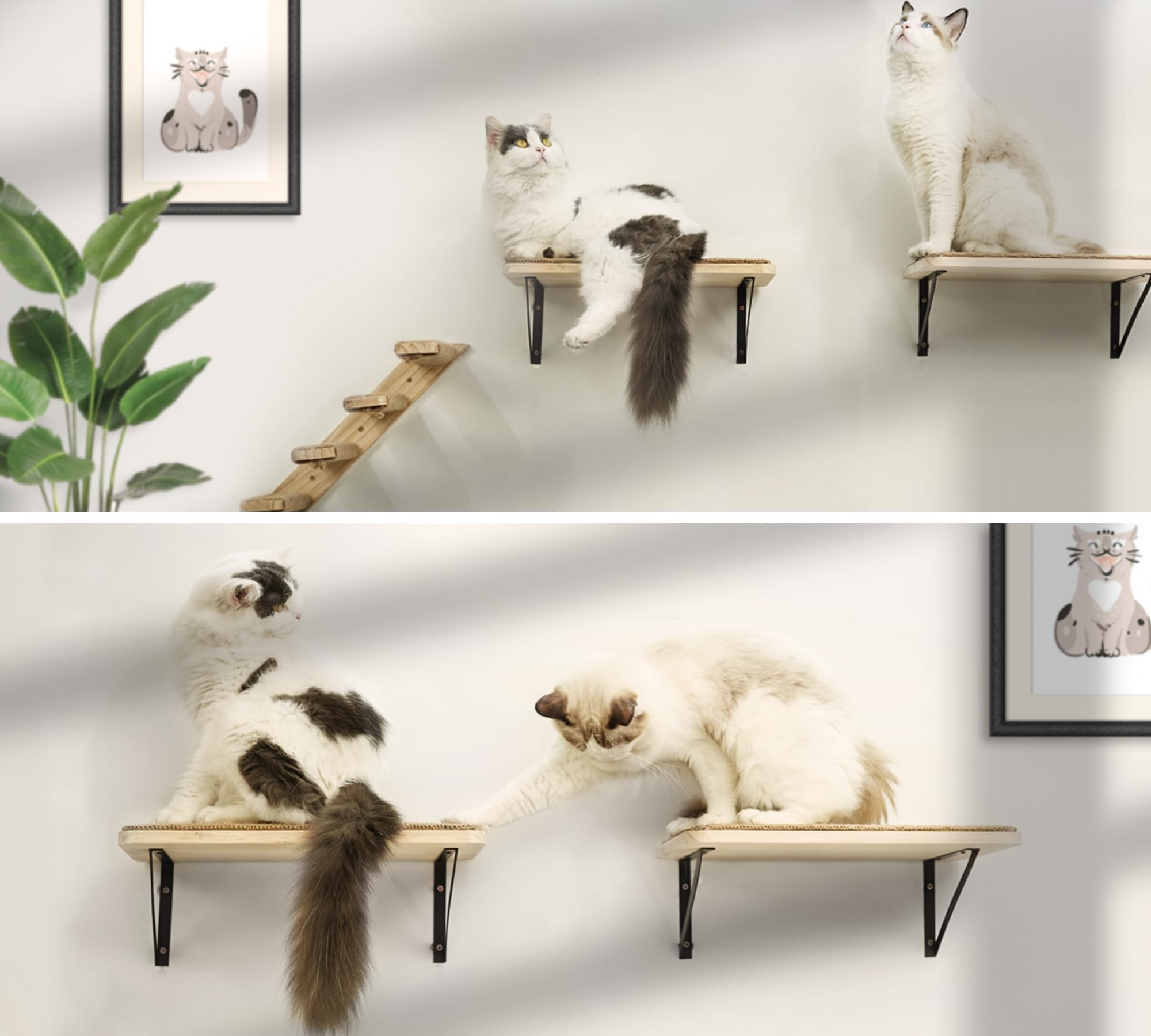 2Pcs Cat Wall Shelves With Cat Scratching Mat, 16.6X9.7 Inch Large Cat Wall Hammock Cat Wall Furniture Cat Shelf Cat Window Perch Wall Mounted Beds For Sleeping, Playing, Climbing, Support To 30 Lbs