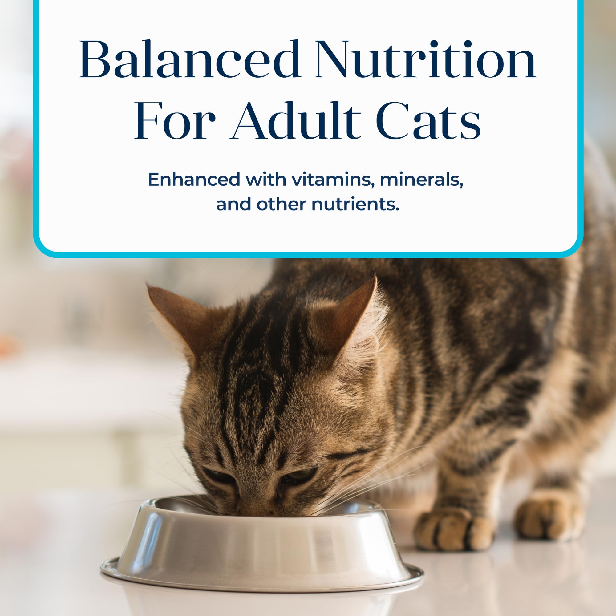 Blue Buffalo Basics Grain-Free Wet Cat Food, Skin & Stomach Care, Fish Recipe, 3-oz Can, 24 Count